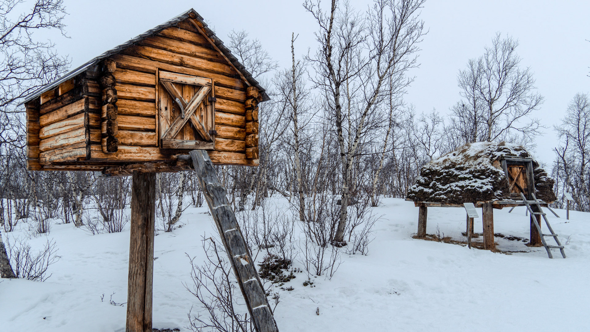 Abisko, (Swedish Lapland)