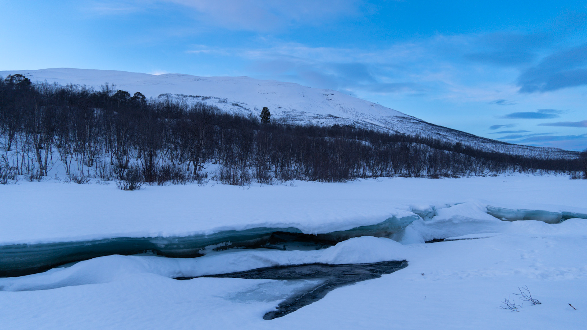 Abisko, (Swedish Lapland)