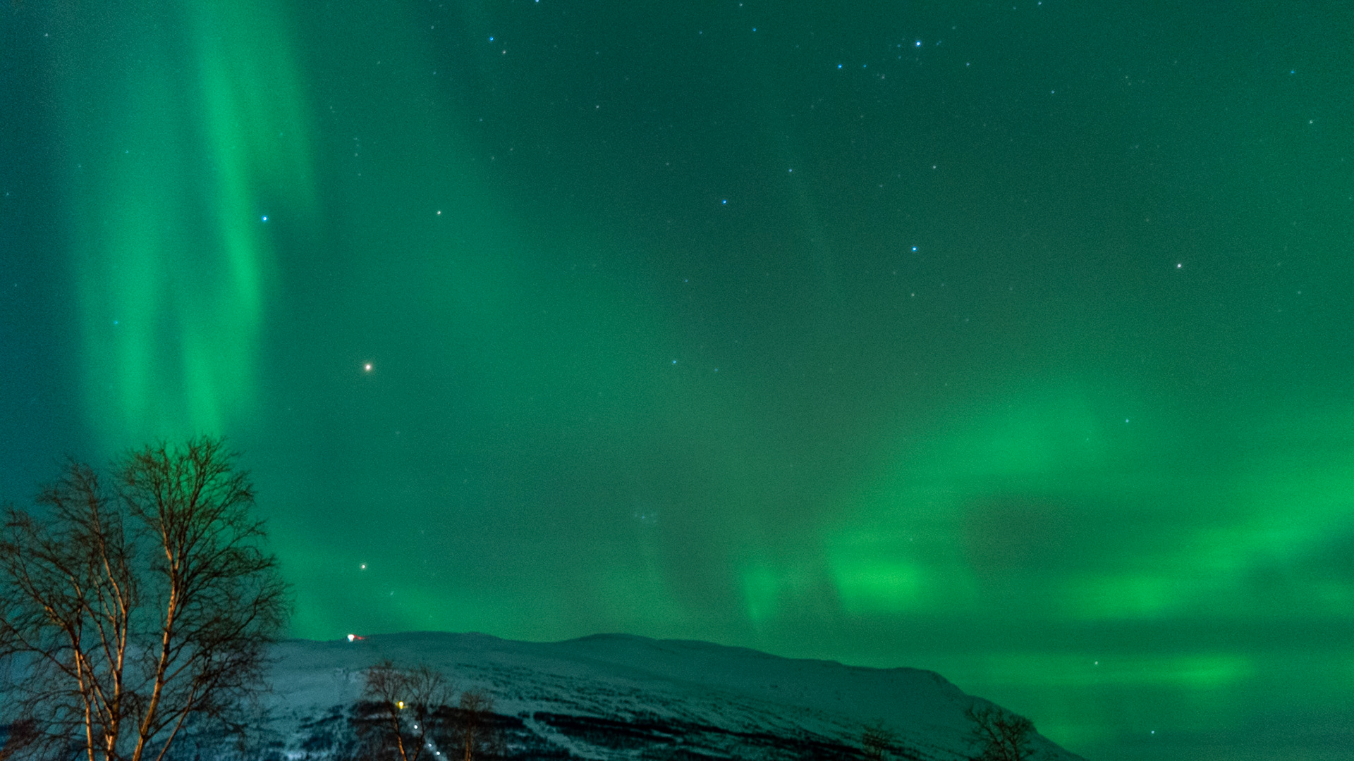 Abisko, (Swedish Lapland)