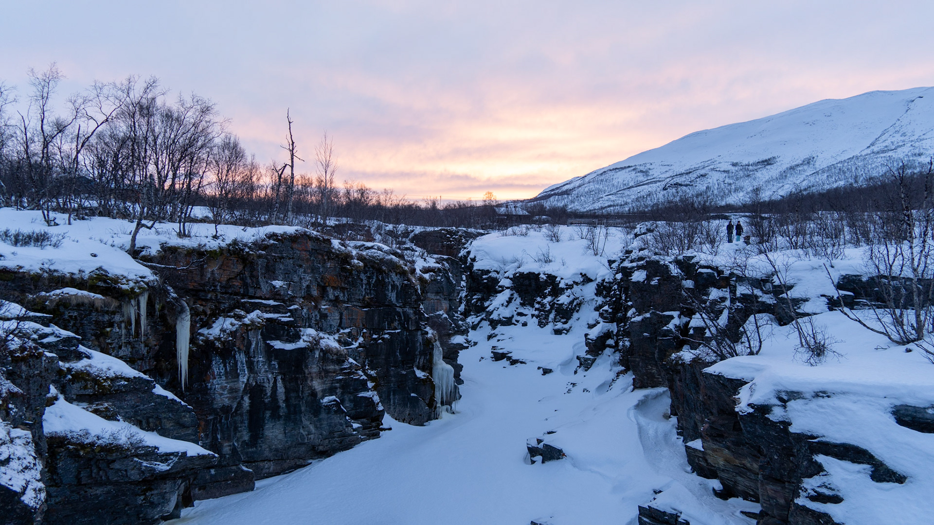 Abisko, (Swedish Lapland)