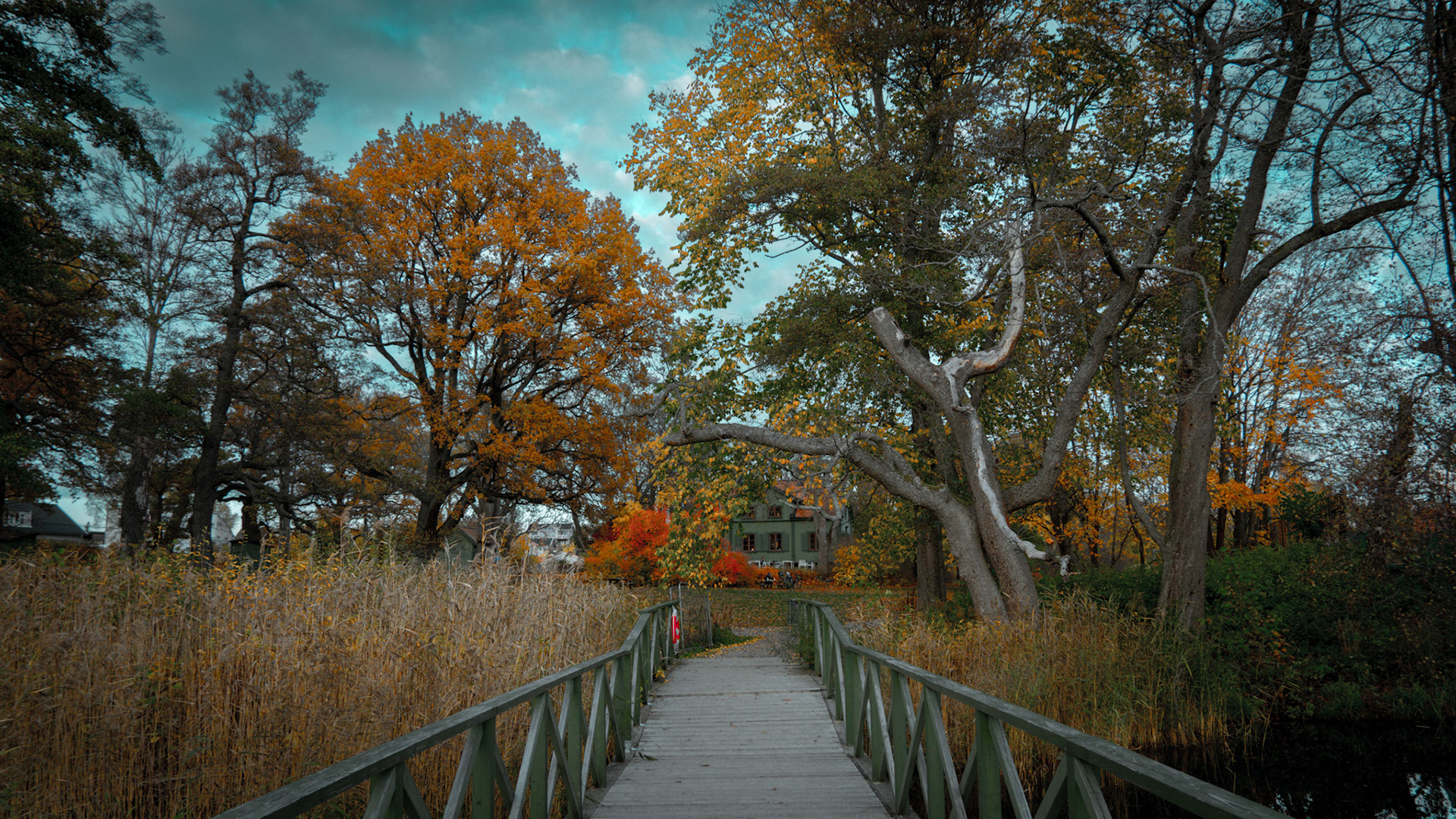 Långsjö, Stockholm, Sweden