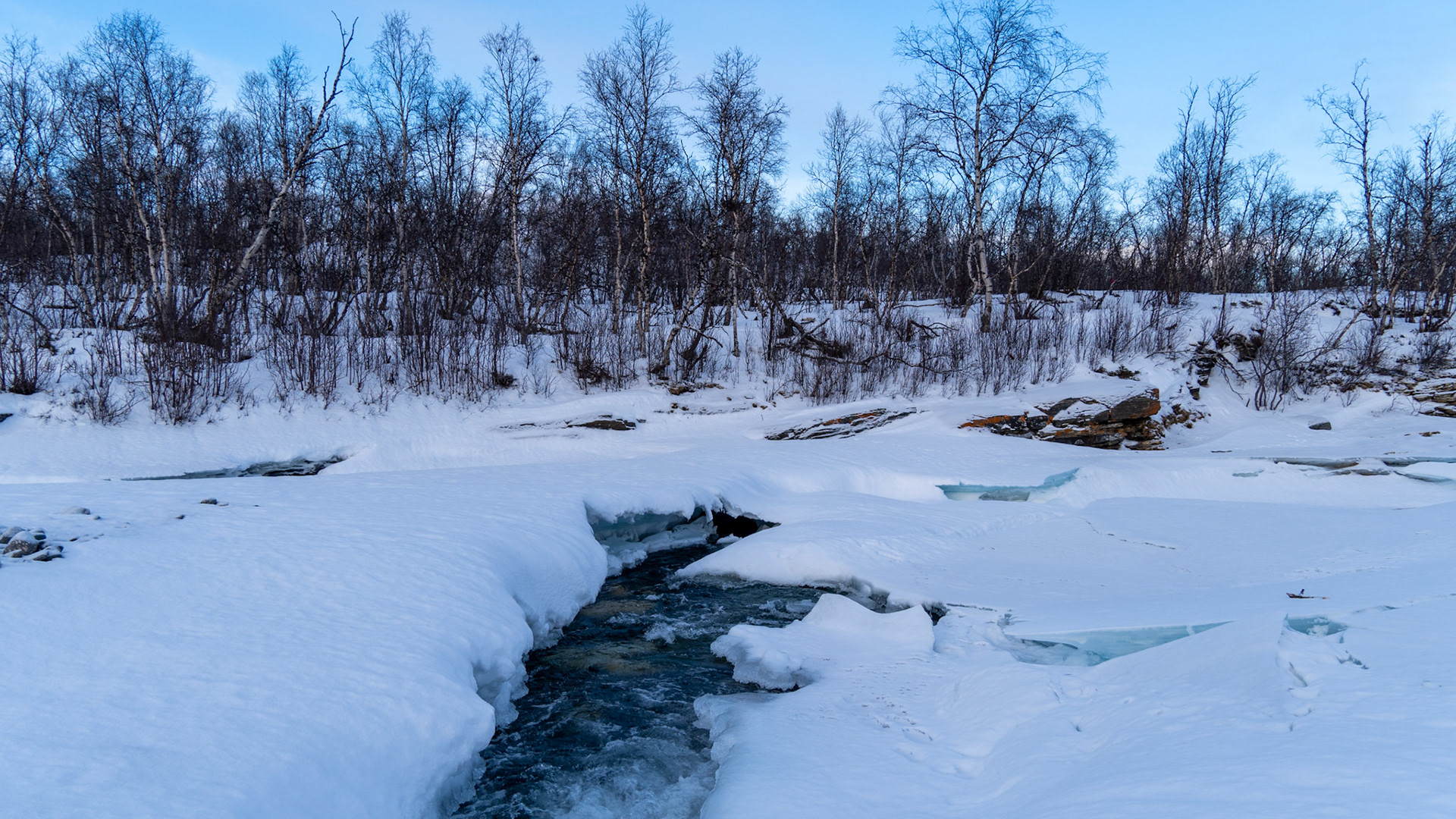 Abisko, (Swedish Lapland)