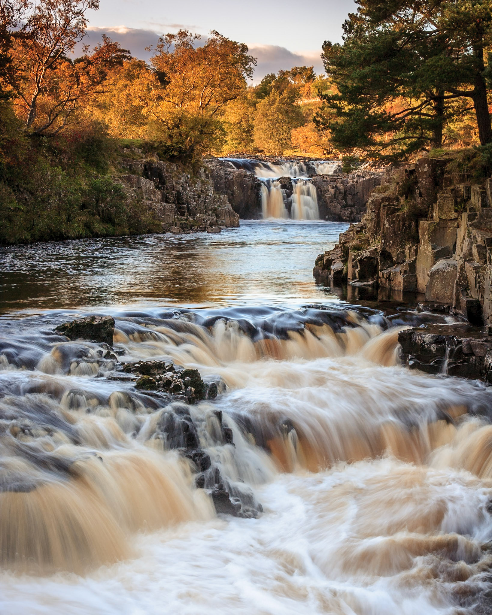 Low Force in Autumn: Part of the River Tees in Upper Teesdale