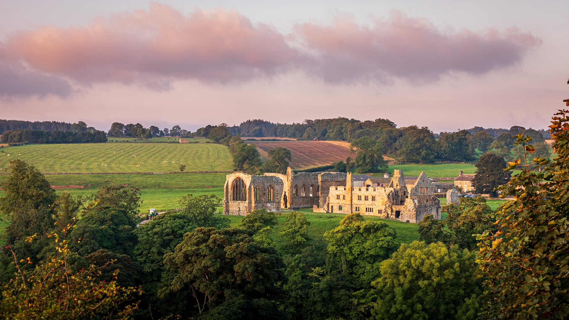 Egglestone Abbey, Autumn II: In preparation for Autumn
