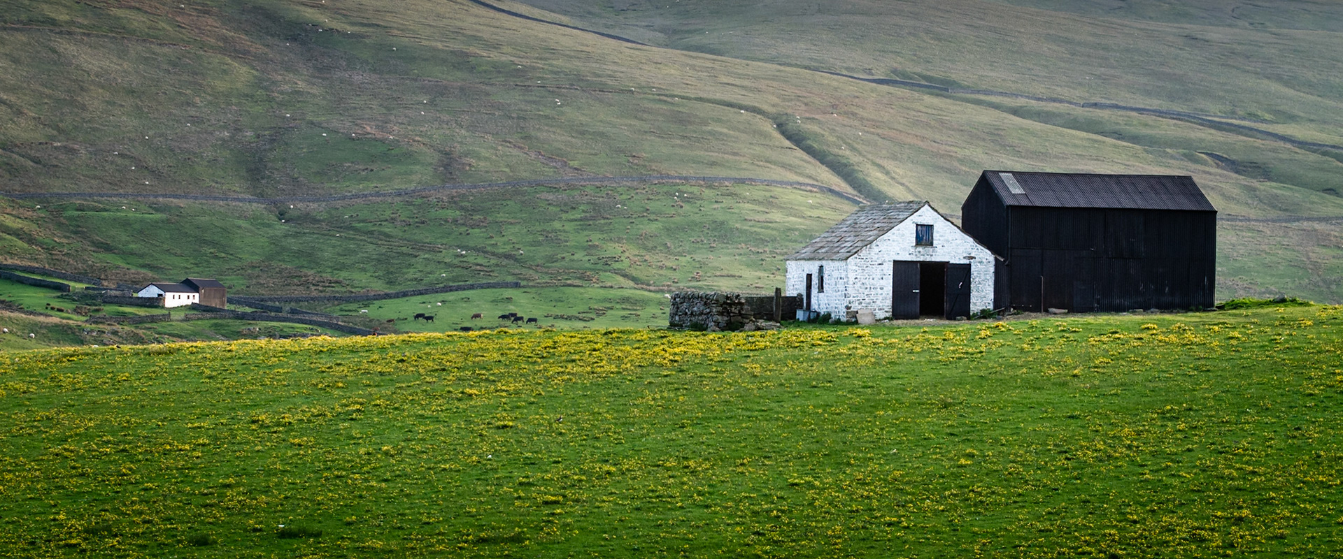 Upper Teesdale Rural Buildings I: The Remote Farms and Barns of Upper Teesdale, North Pennines