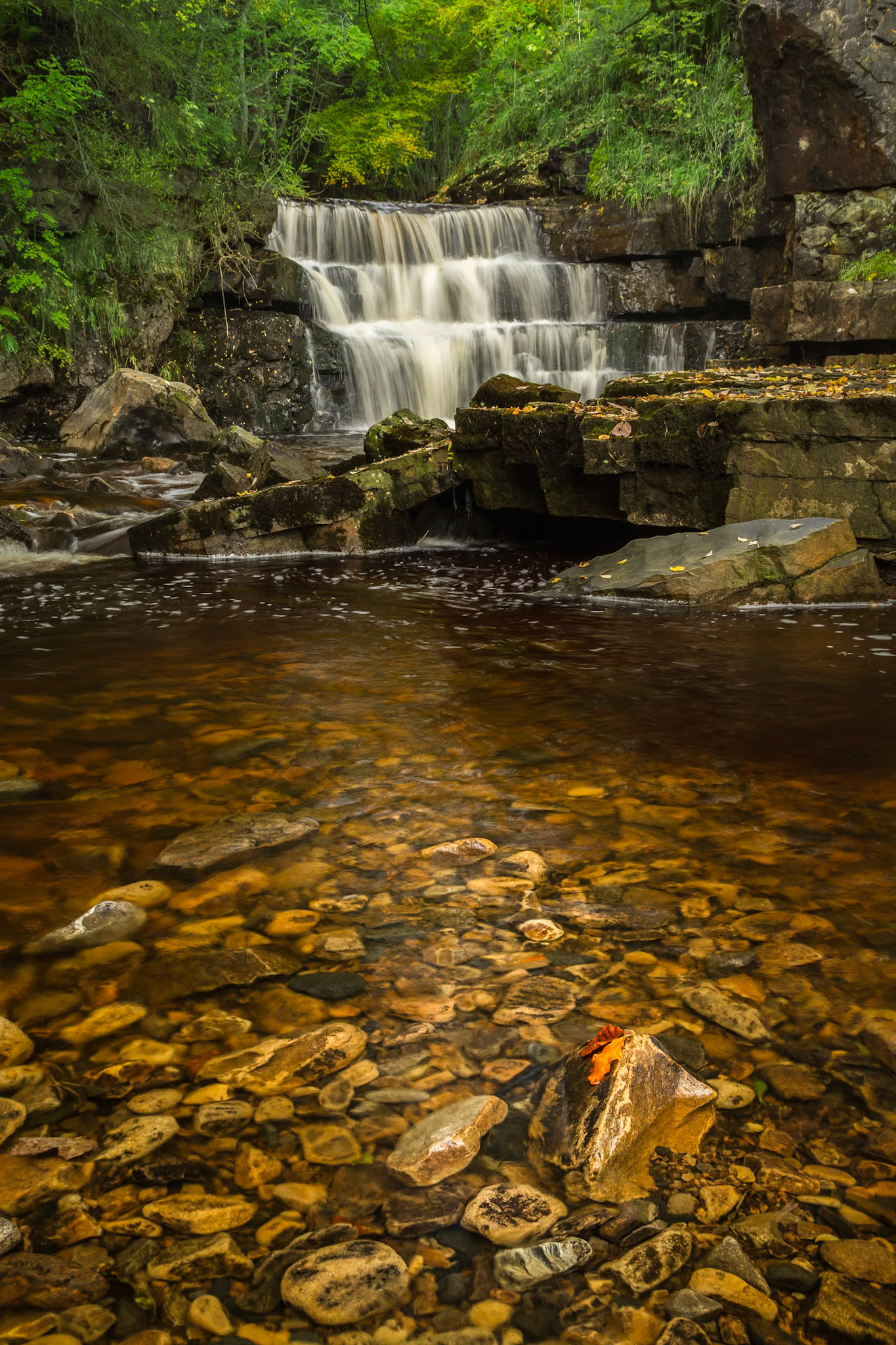Bow Lee Beck Waterfall I: This is one of the three small waterfalls below Gibson's Cave near Bowlees Visitor Centre.