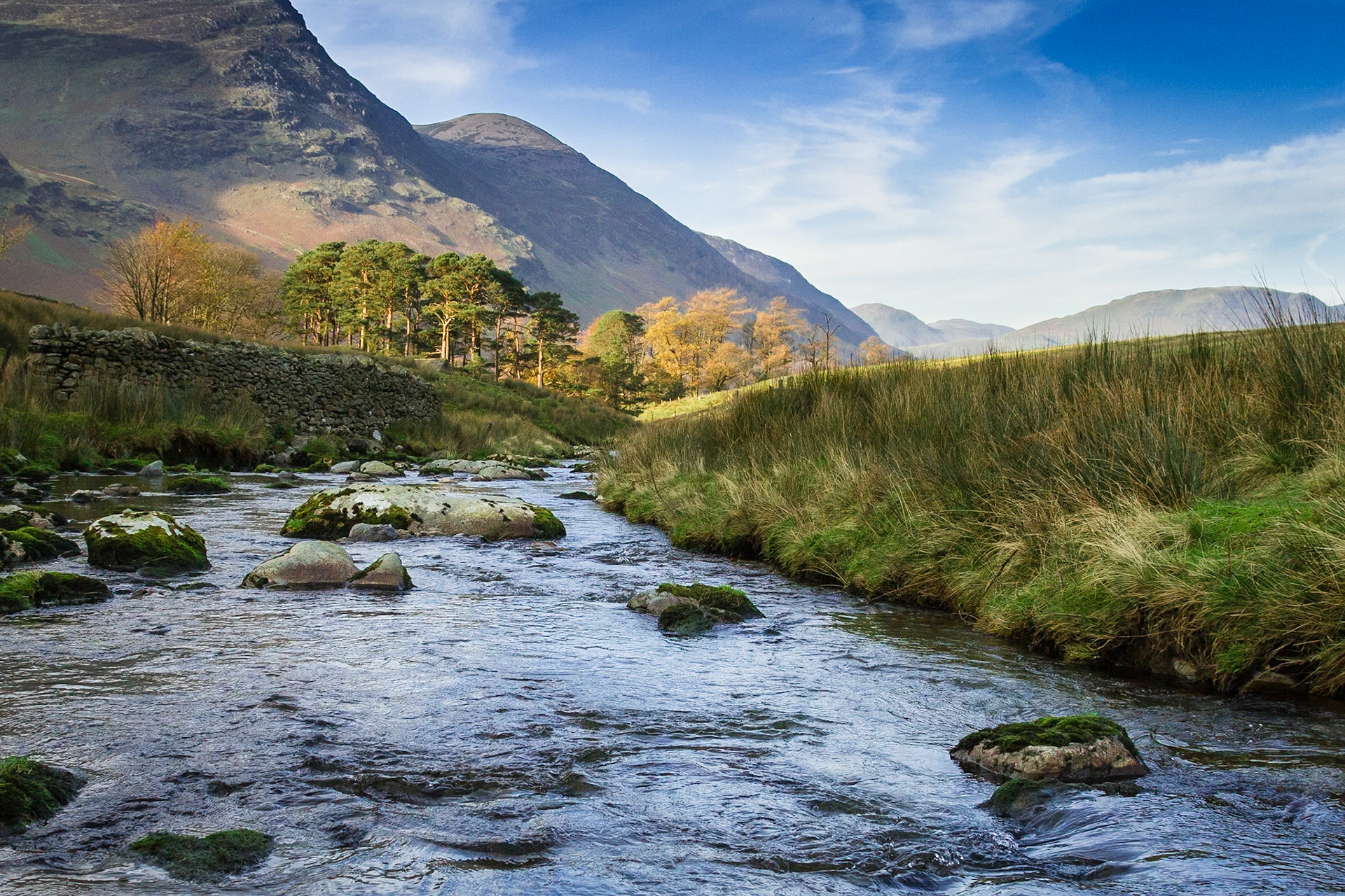 Buttermere Trees: view from Honister Pass