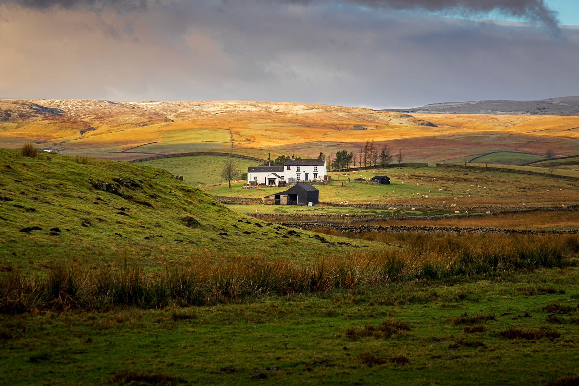Upper Teesdale Rural Buildings III: The Remote Farms and Barns of Upper Teesdale, North Pennines