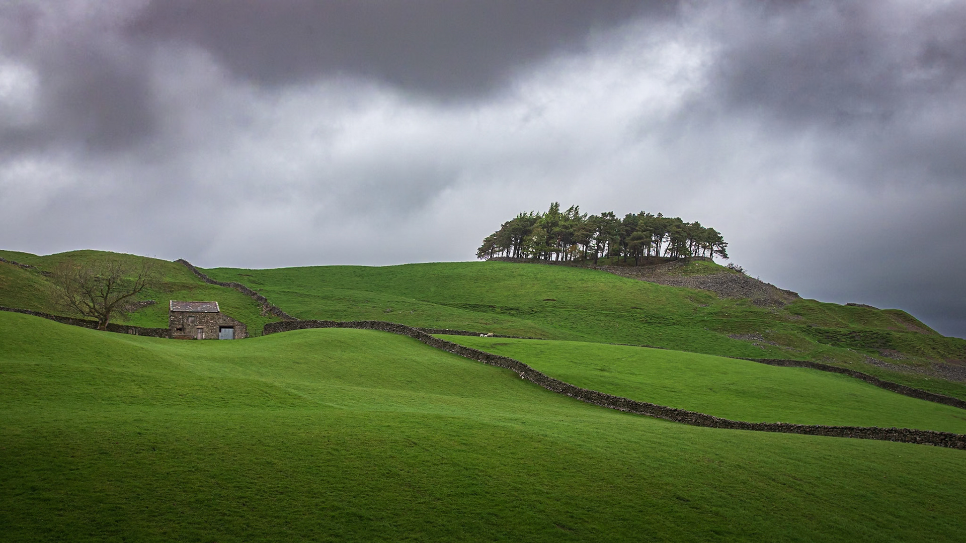 Kirk Carrion V: Kirk Carrion is a copse of pine trees, surrounded by a stone wall, on a hilltop near Middleton-in-Teesdale. The trees, which were planted in Victorian times, cover a tumulus which is reputed to be the burial place of a Bronze Age chieftain, Prince Caryn,