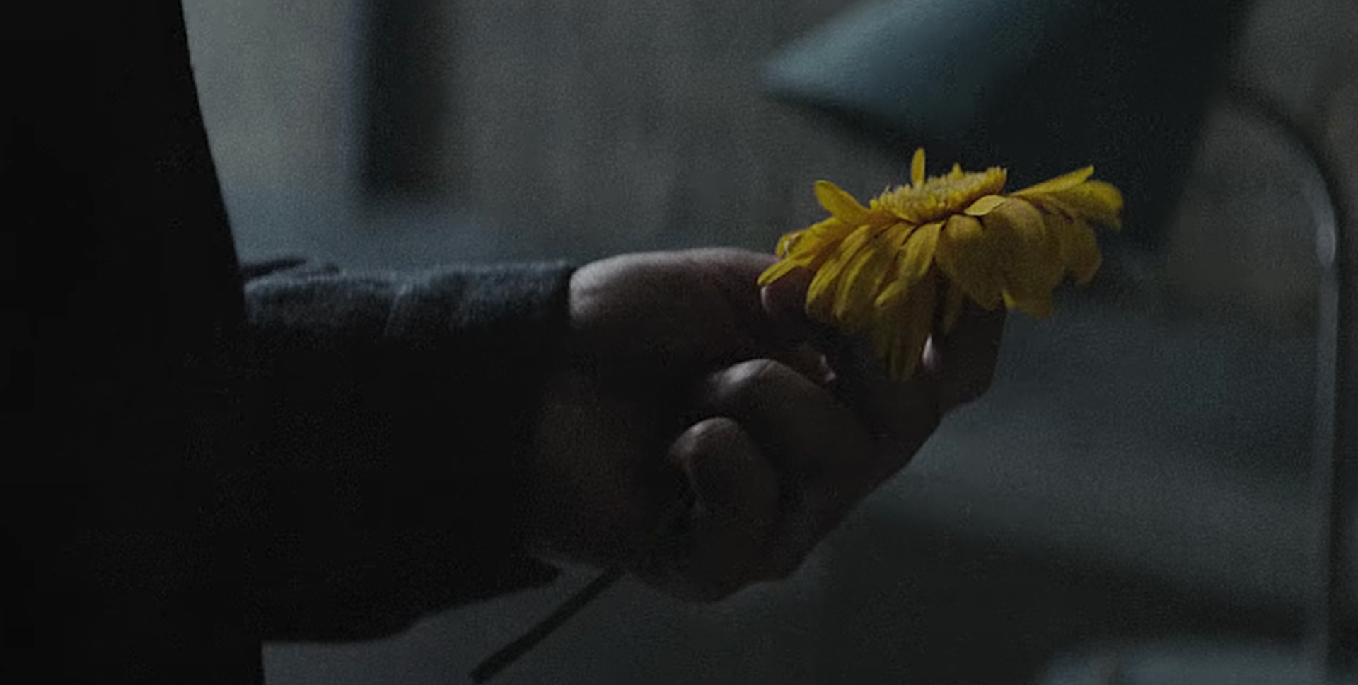Nico and The Niners music video