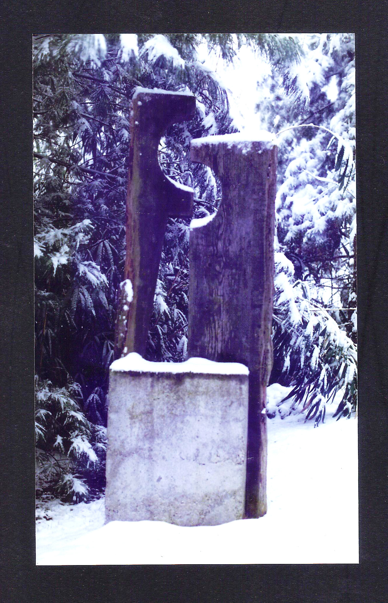 MarraigeArrival: sold-(series of  7)