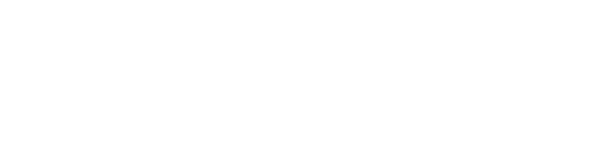 VirtualScreen Productions logo