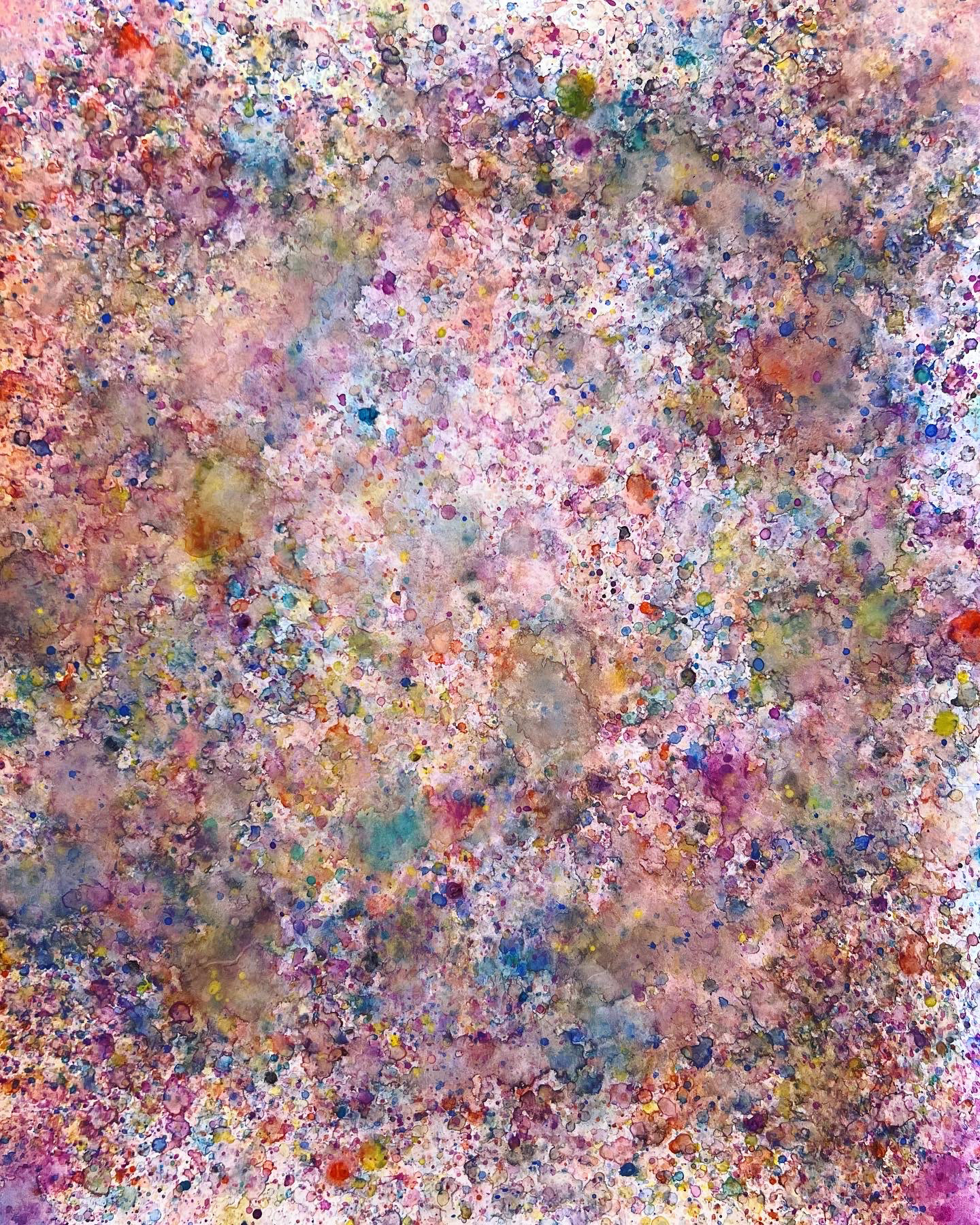 14" x 17" pastel on paper