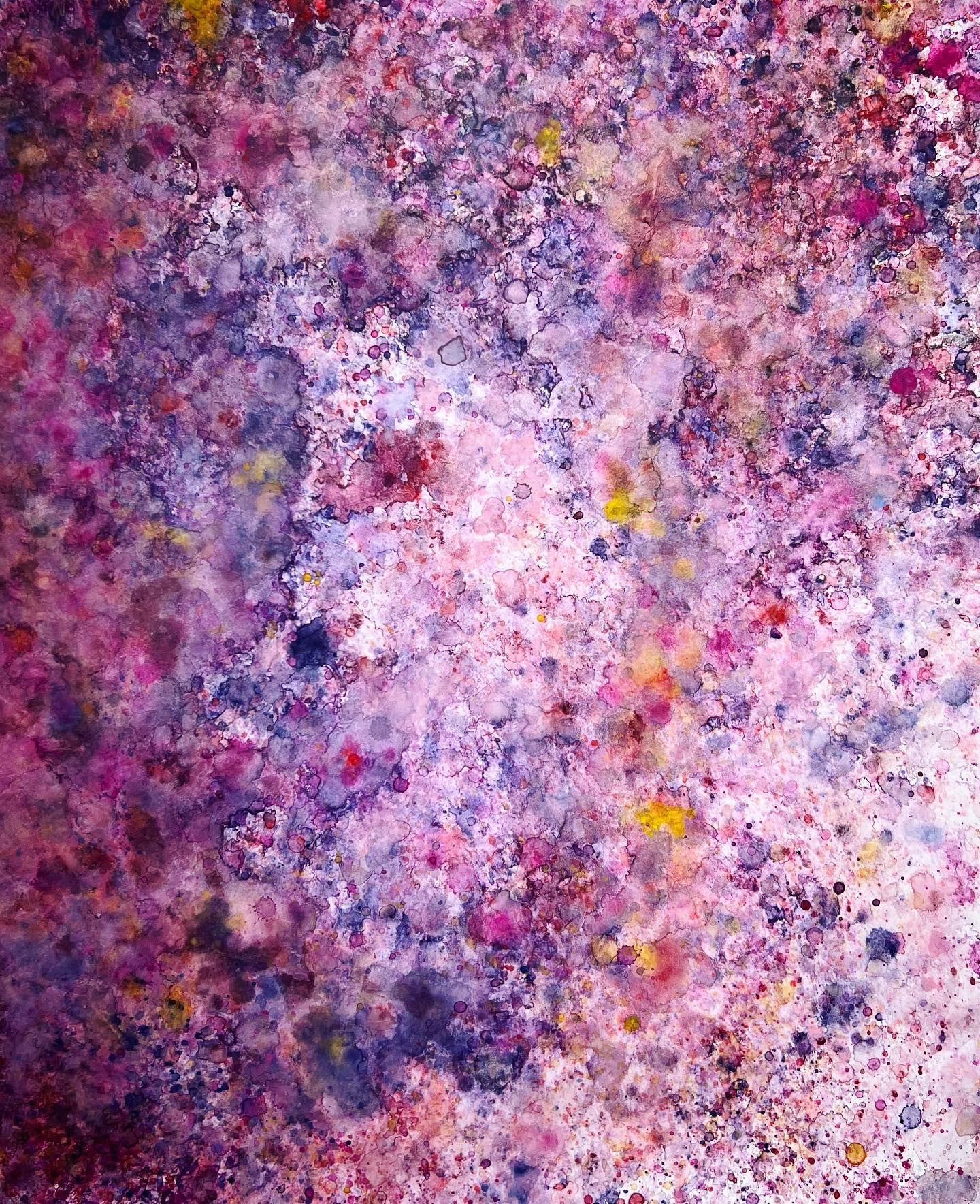 14" x 17" pastel on paper