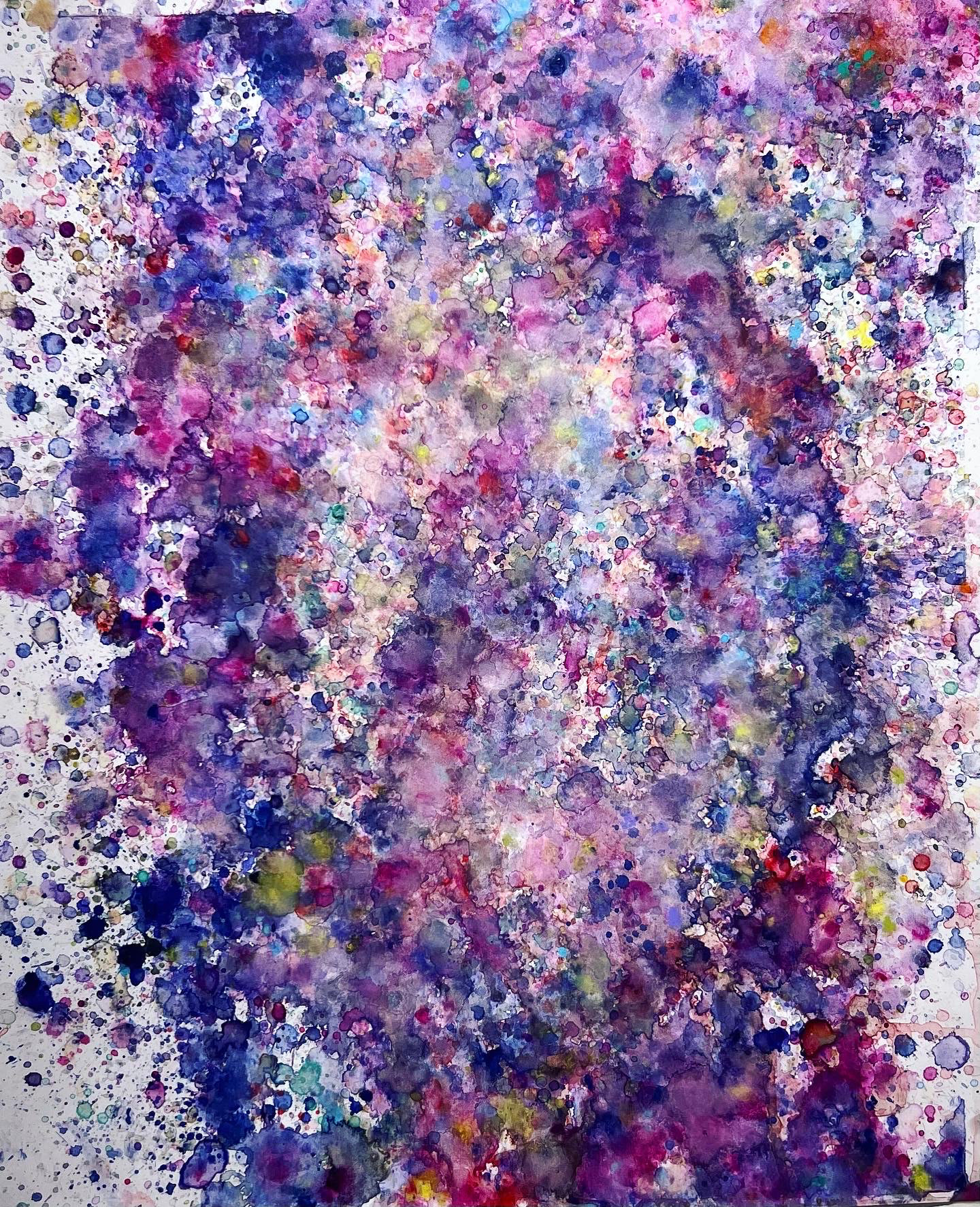 14" x 17" pastel on paper