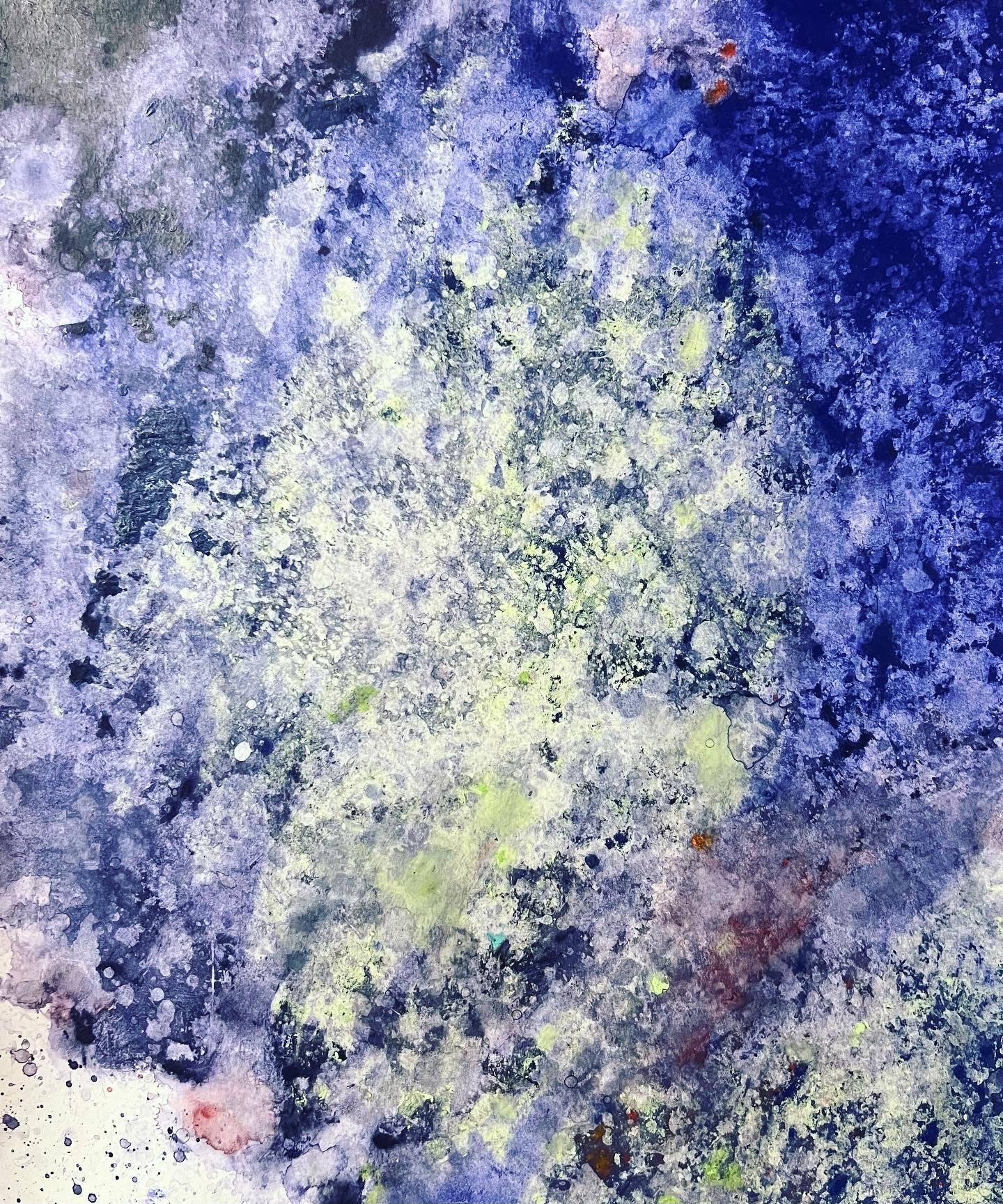 14" x 17" pastel on paper