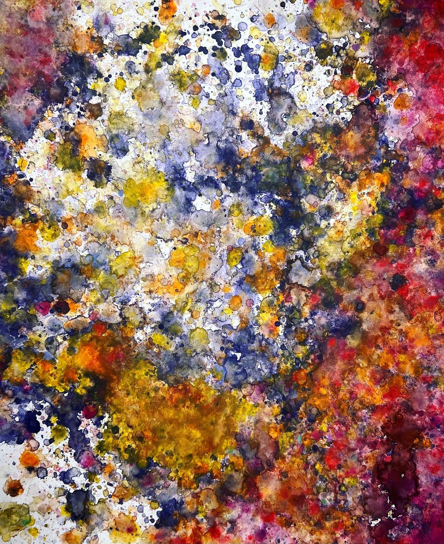 14" x 17" pastel on paper