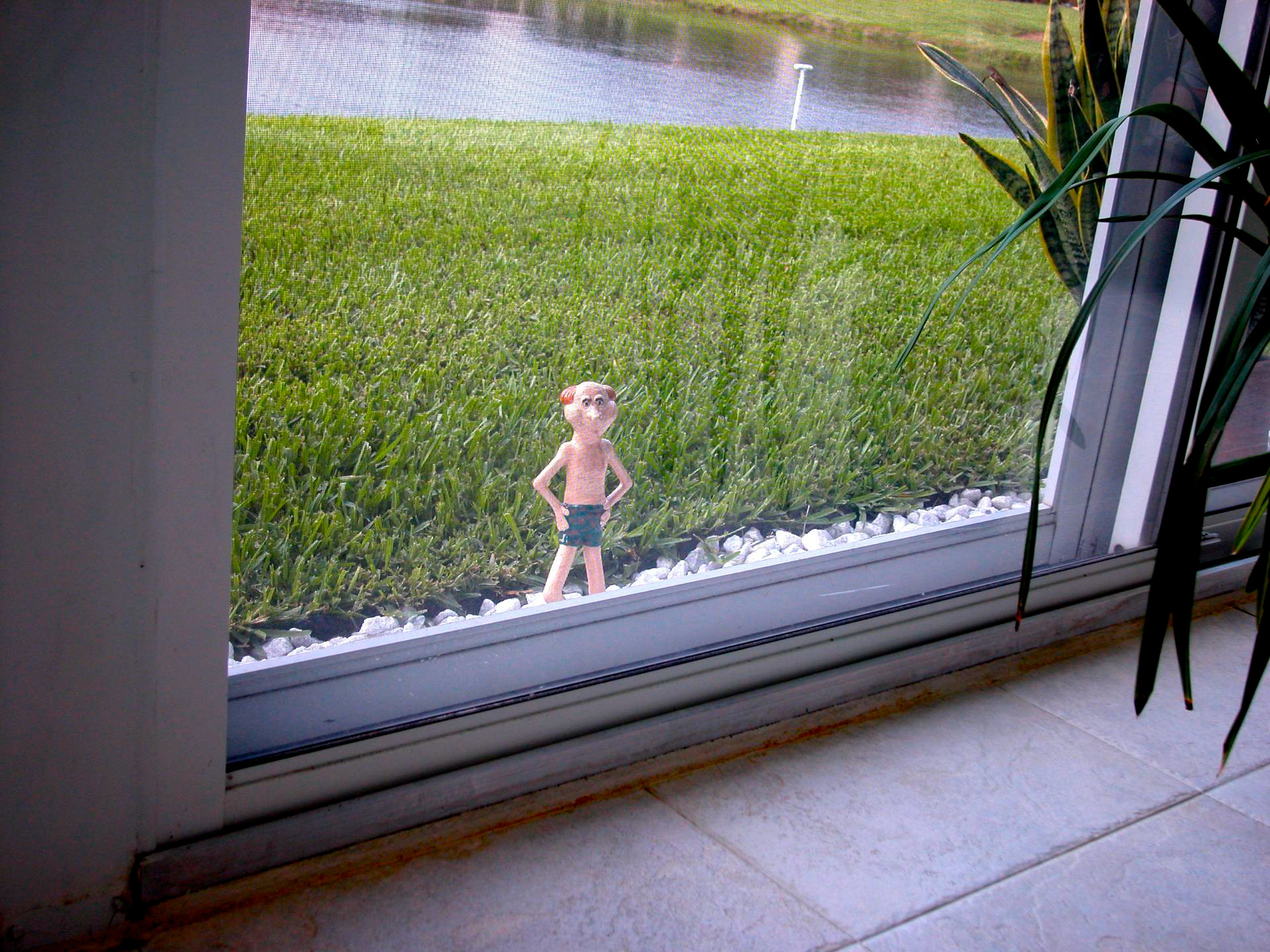 Peeping Tom