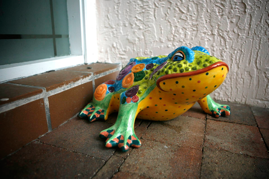 Frog out front was home to dozens of lil frogs, I think they worshipped the giant colorful frog god