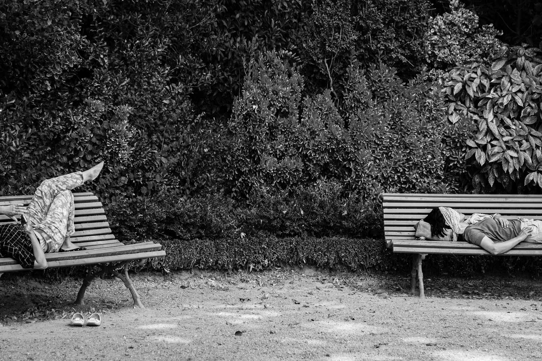 De bout en bancs, jardin du Thabor, Rennes