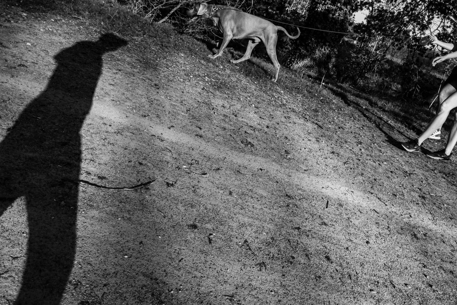 Distanciation sociale