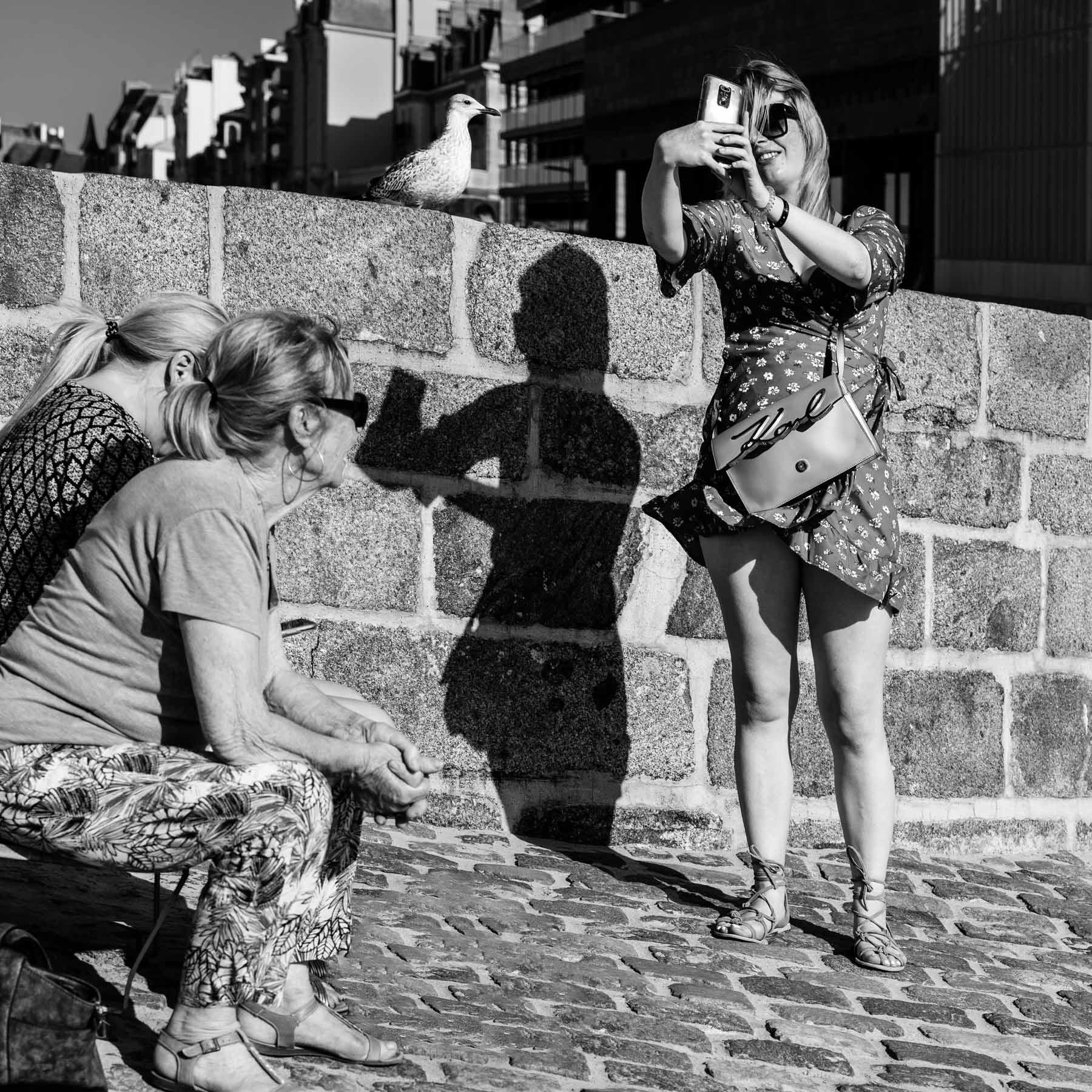 Faire le portait d'un oiseau