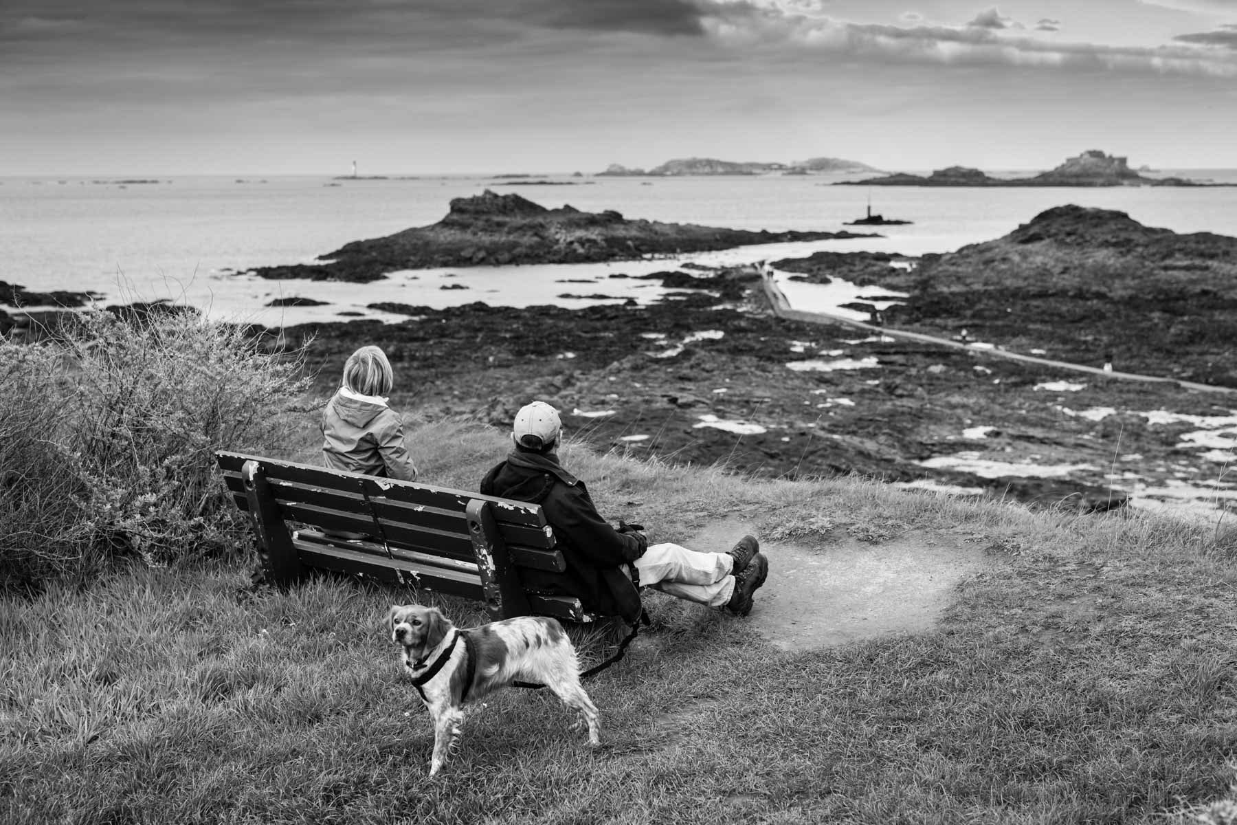 Le chien s'en fout !