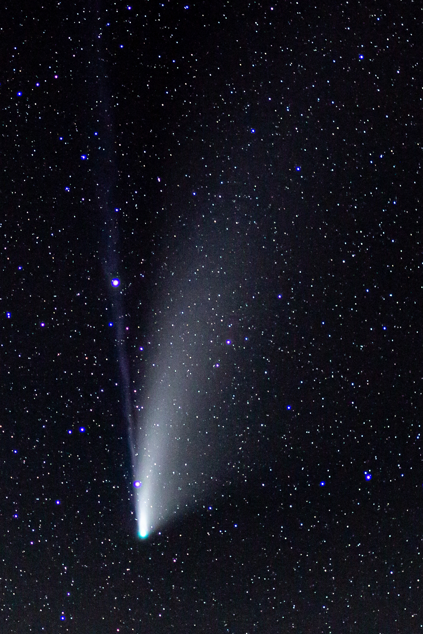 Comet NEOWISE - as photographed from Ralston Peak in Desolation Wilderness.