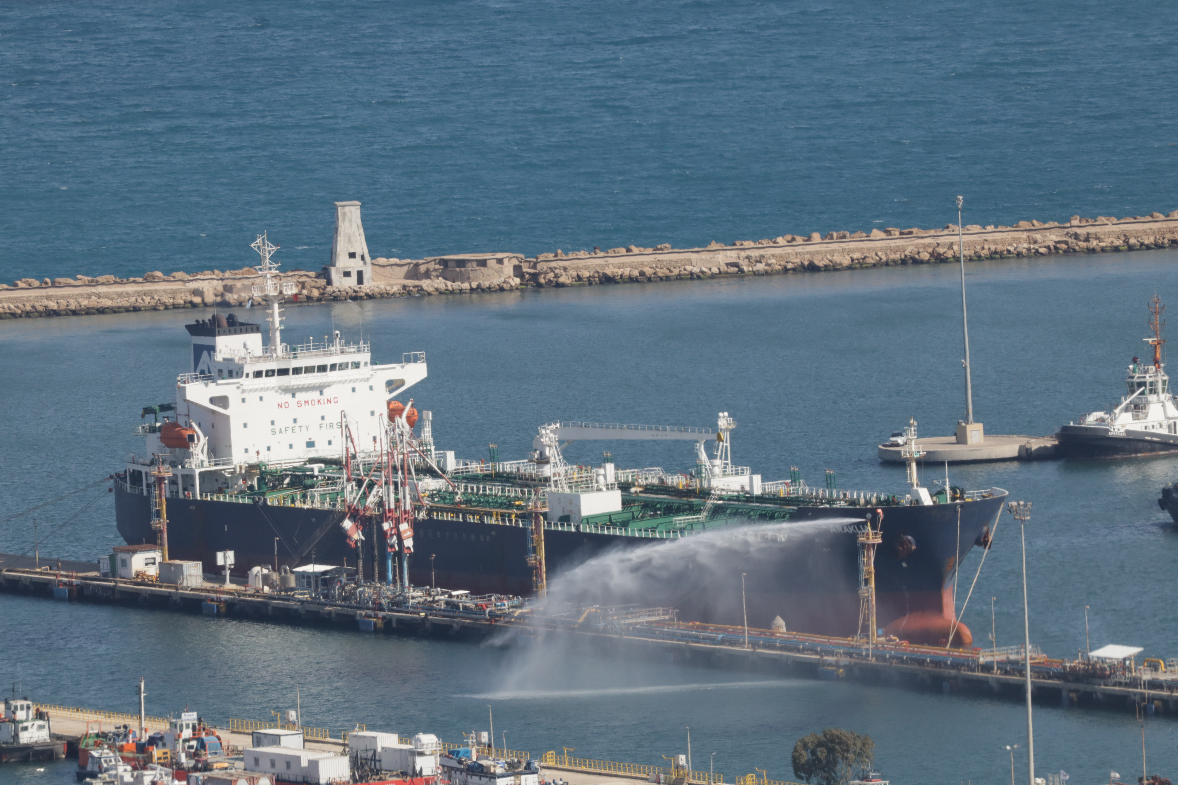 Long Reach, Light Weight: Discovering the Power of the Canon RF 100-400mm on a Canon R100