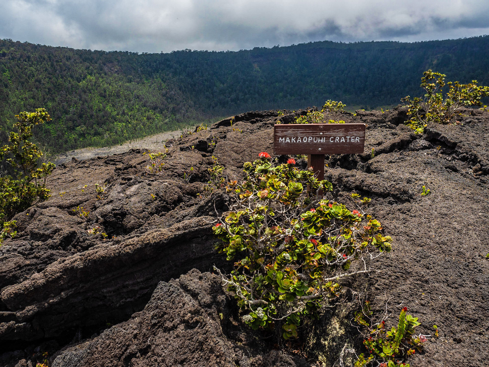 Big Island