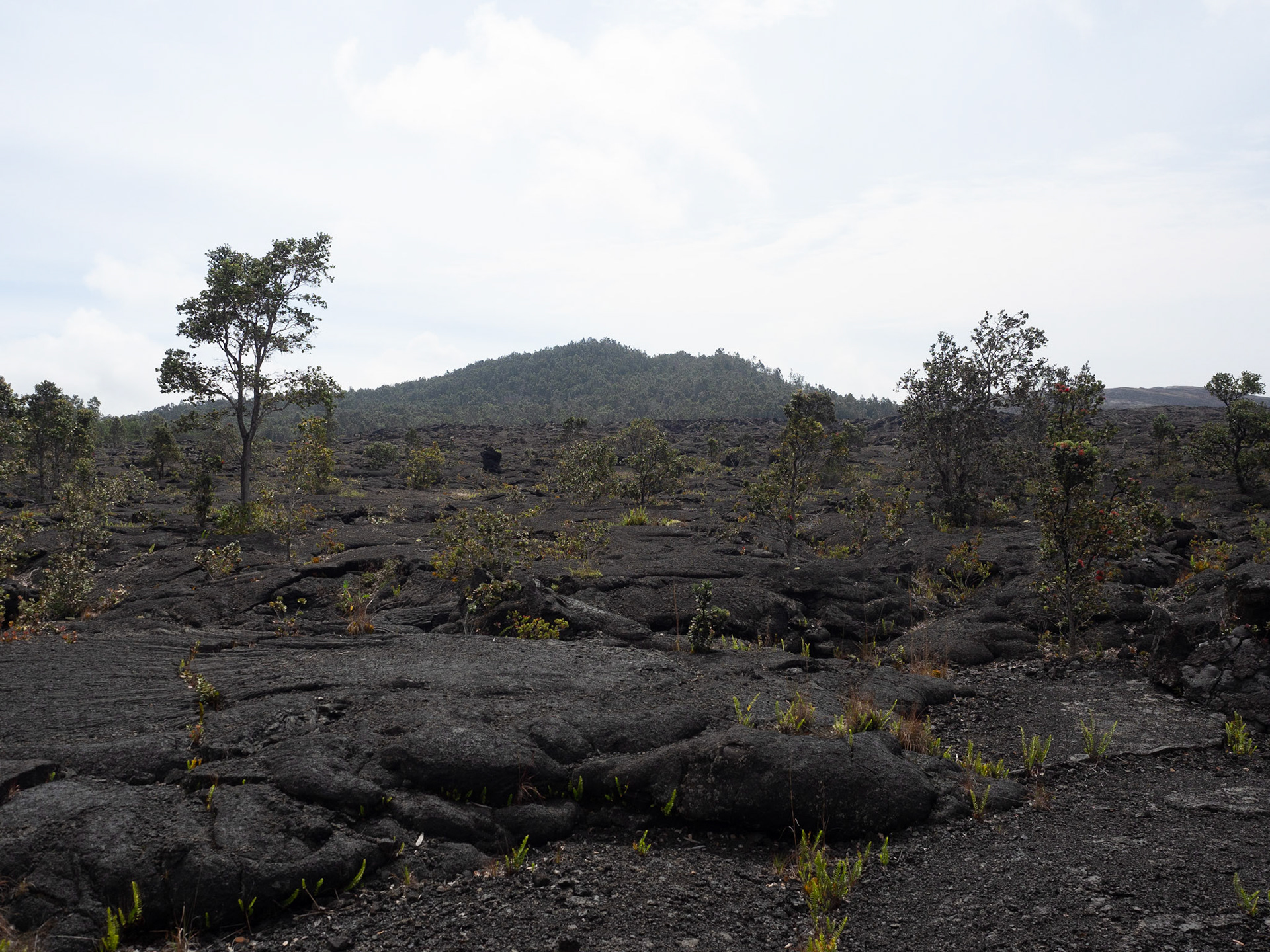 Big Island