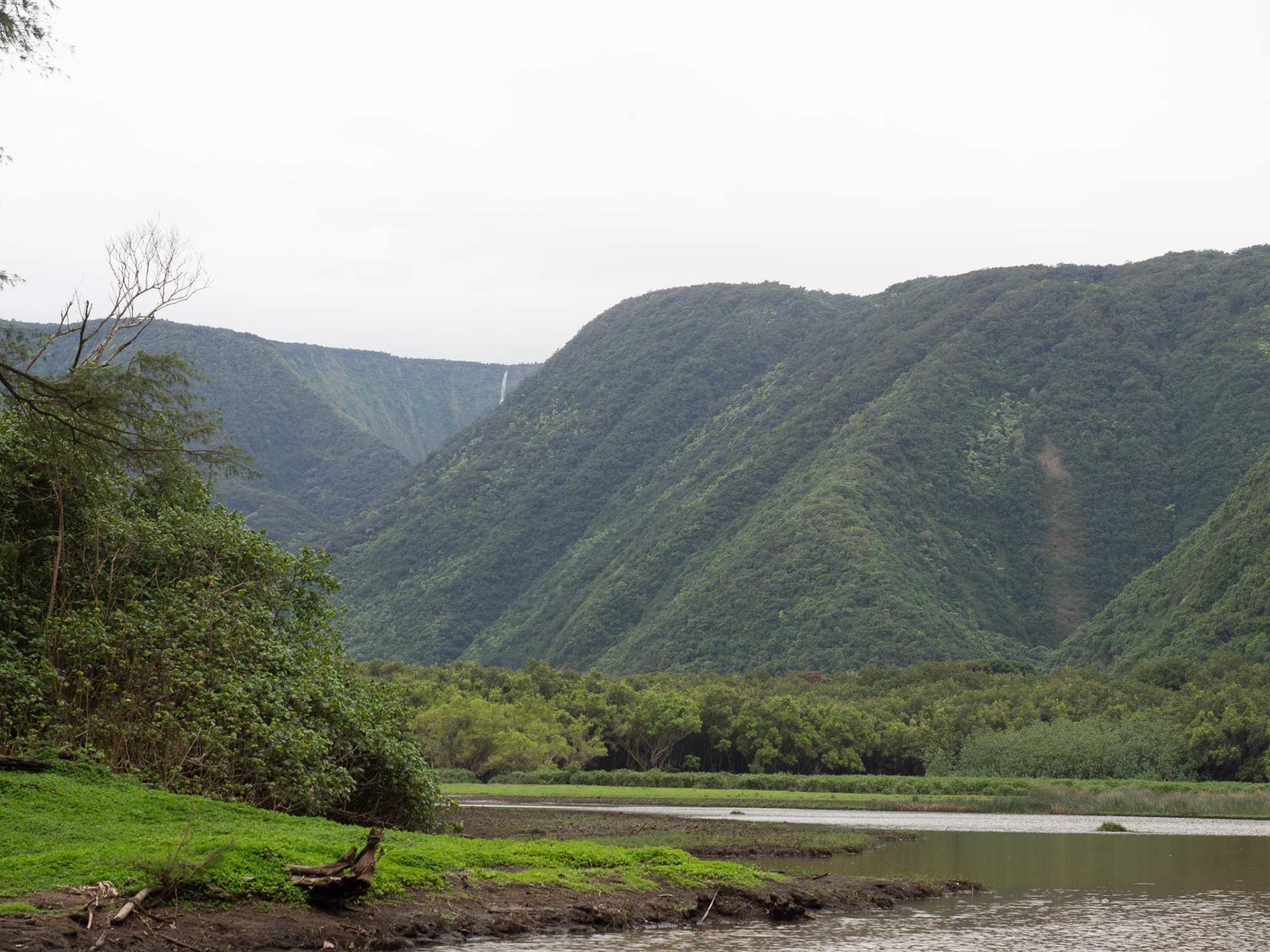 Big Island