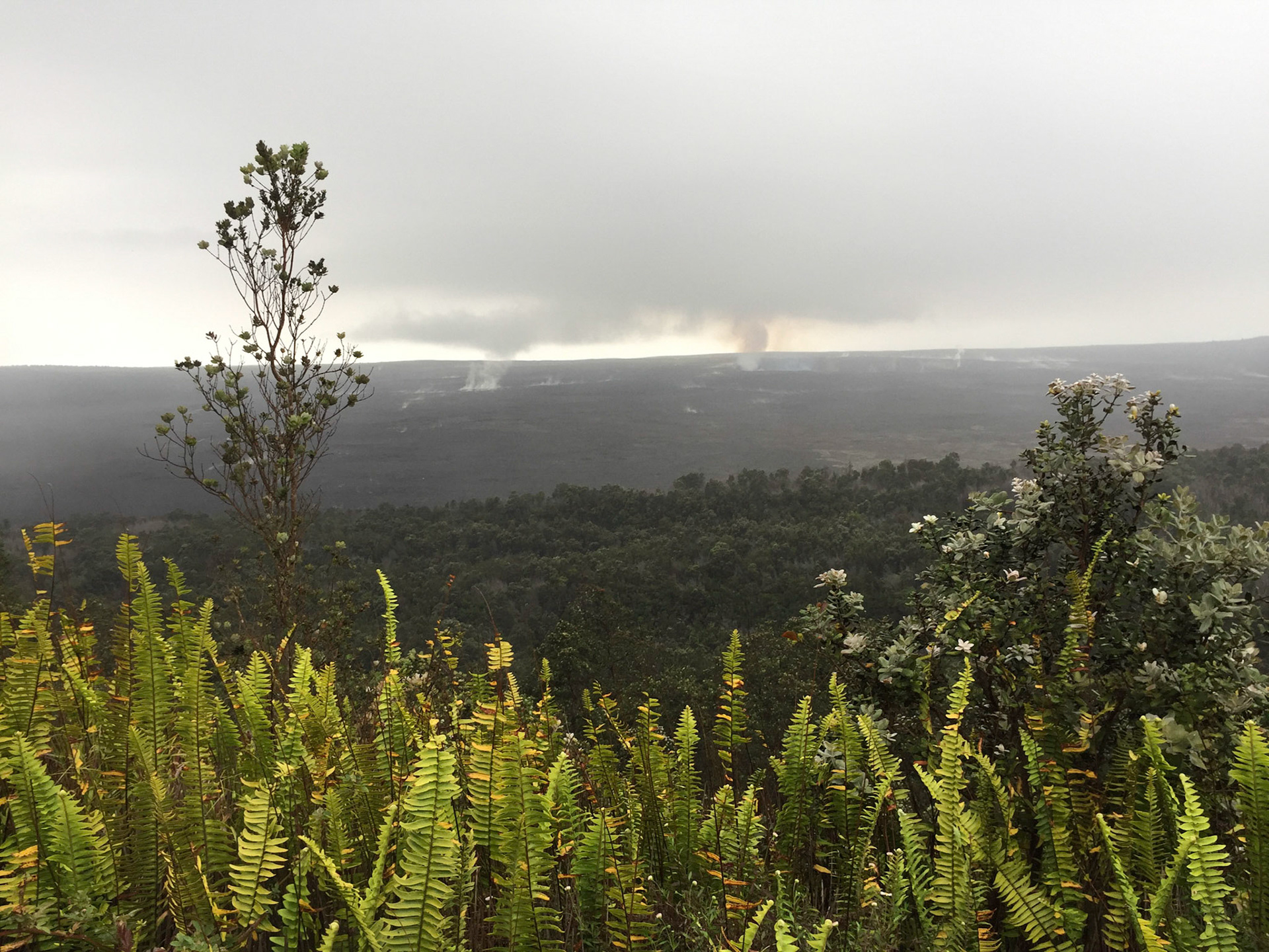 Big Island