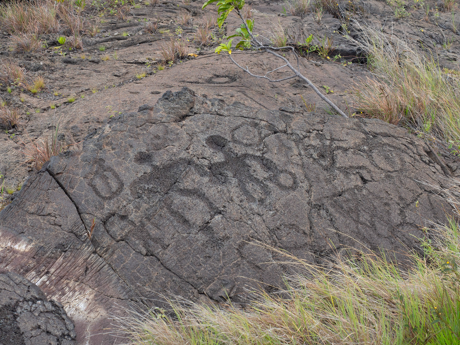 Big Island