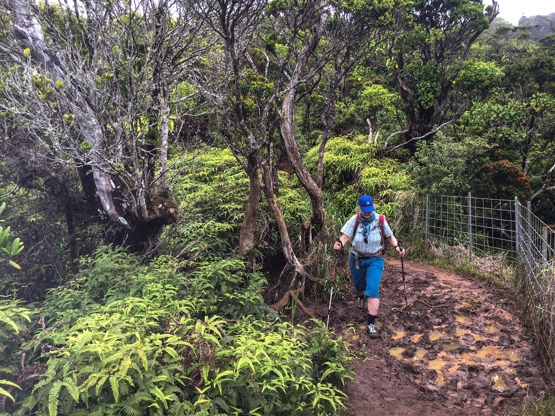 Kauai