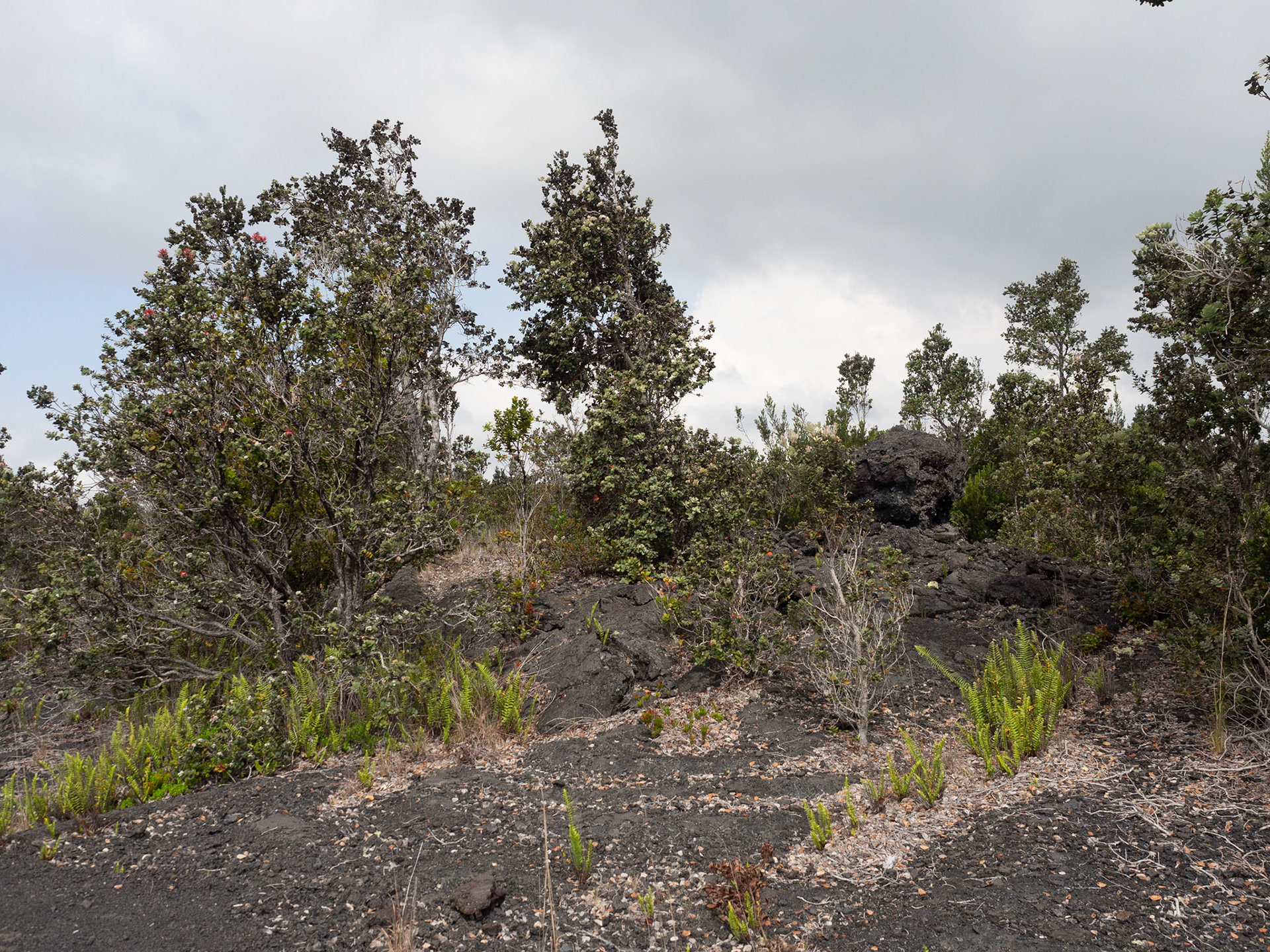 Big Island