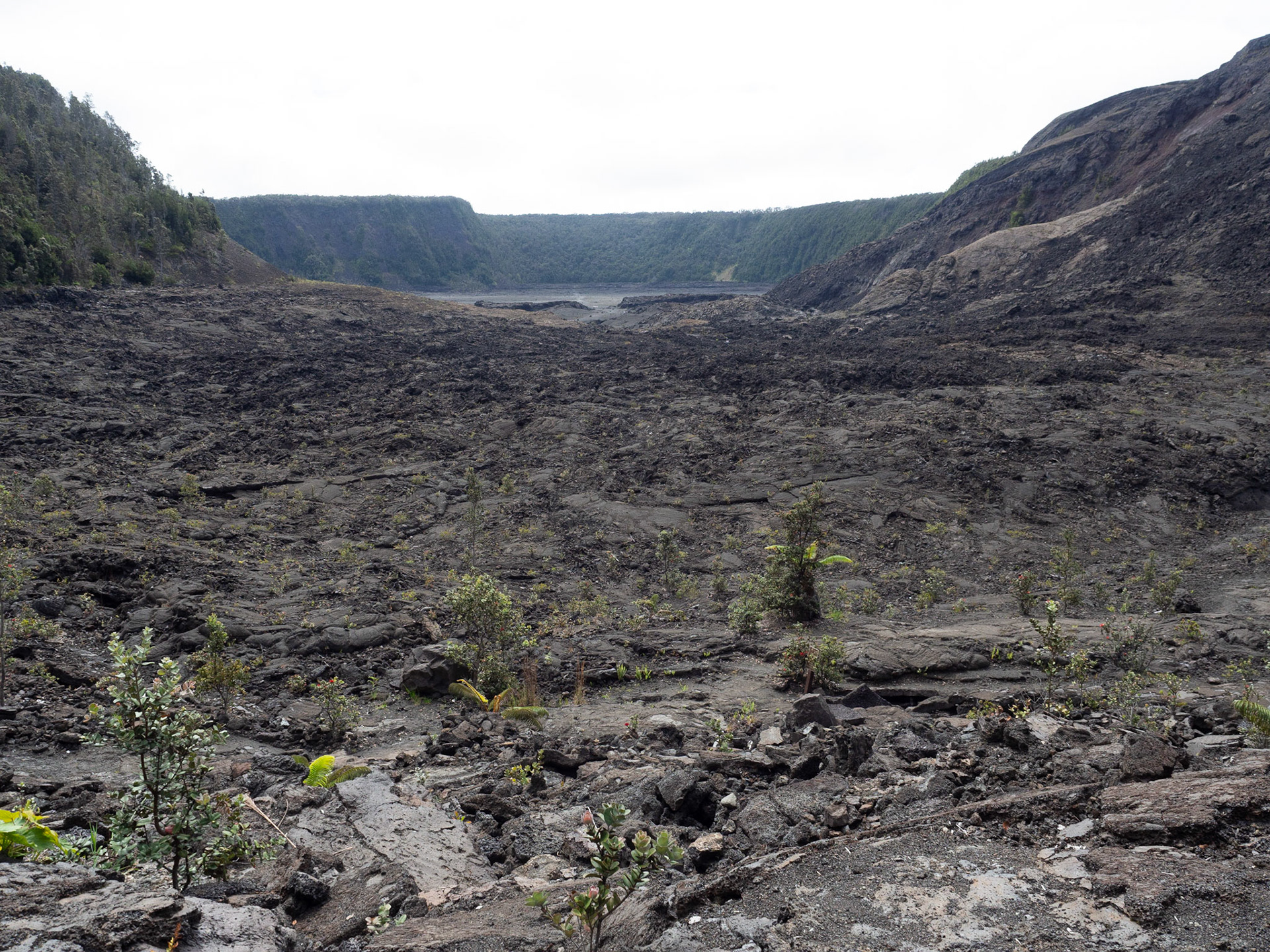 Big Island