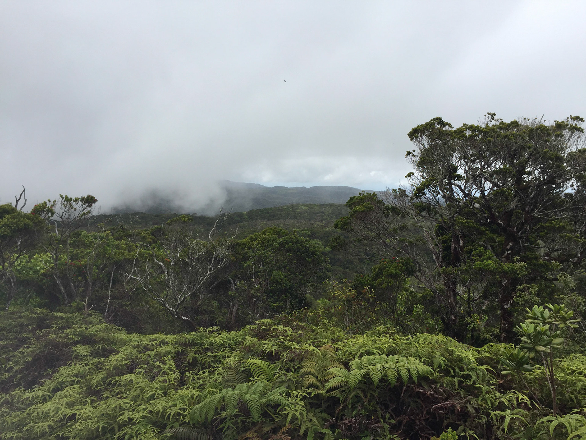 Kauai