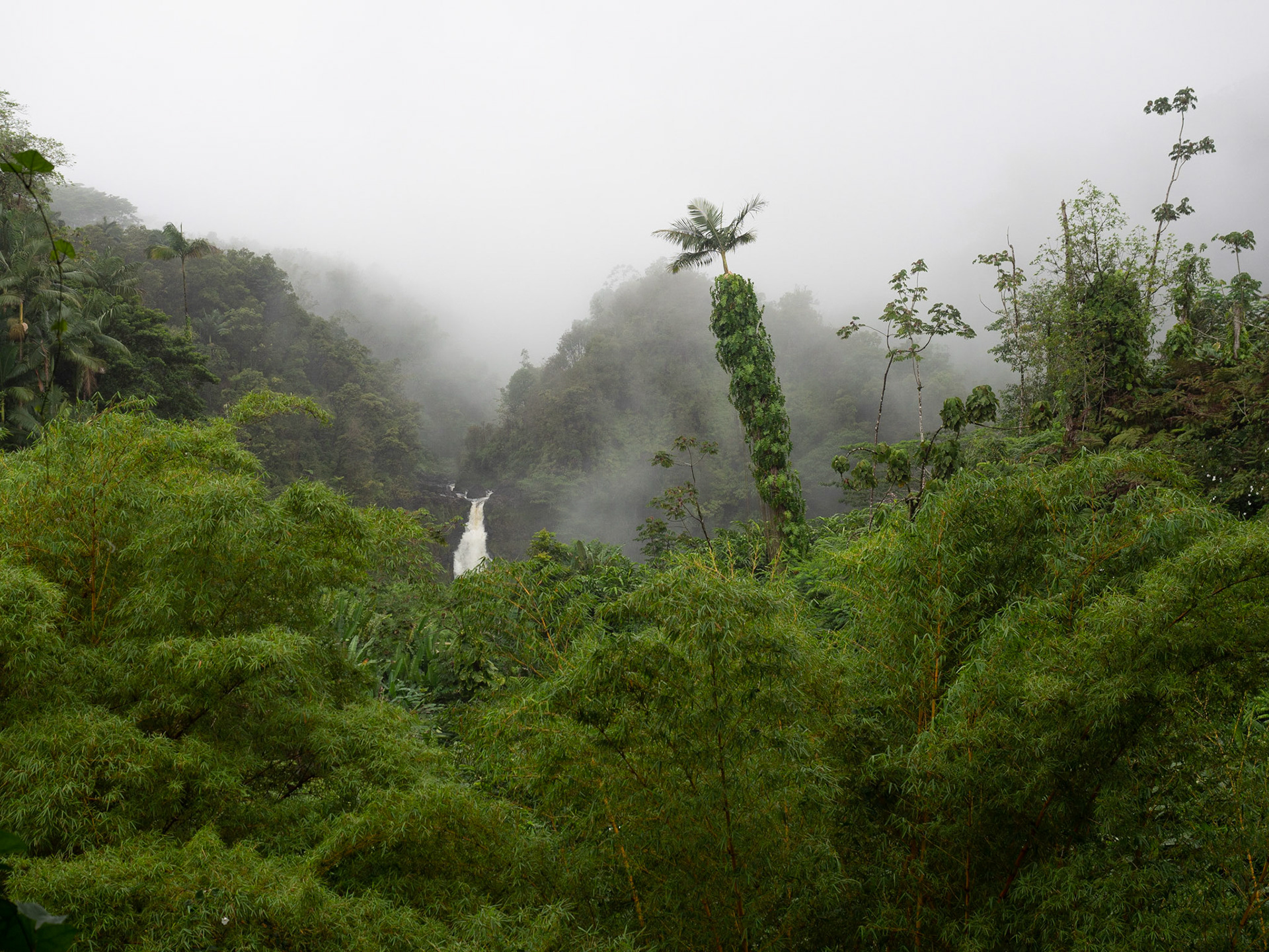 Big Island