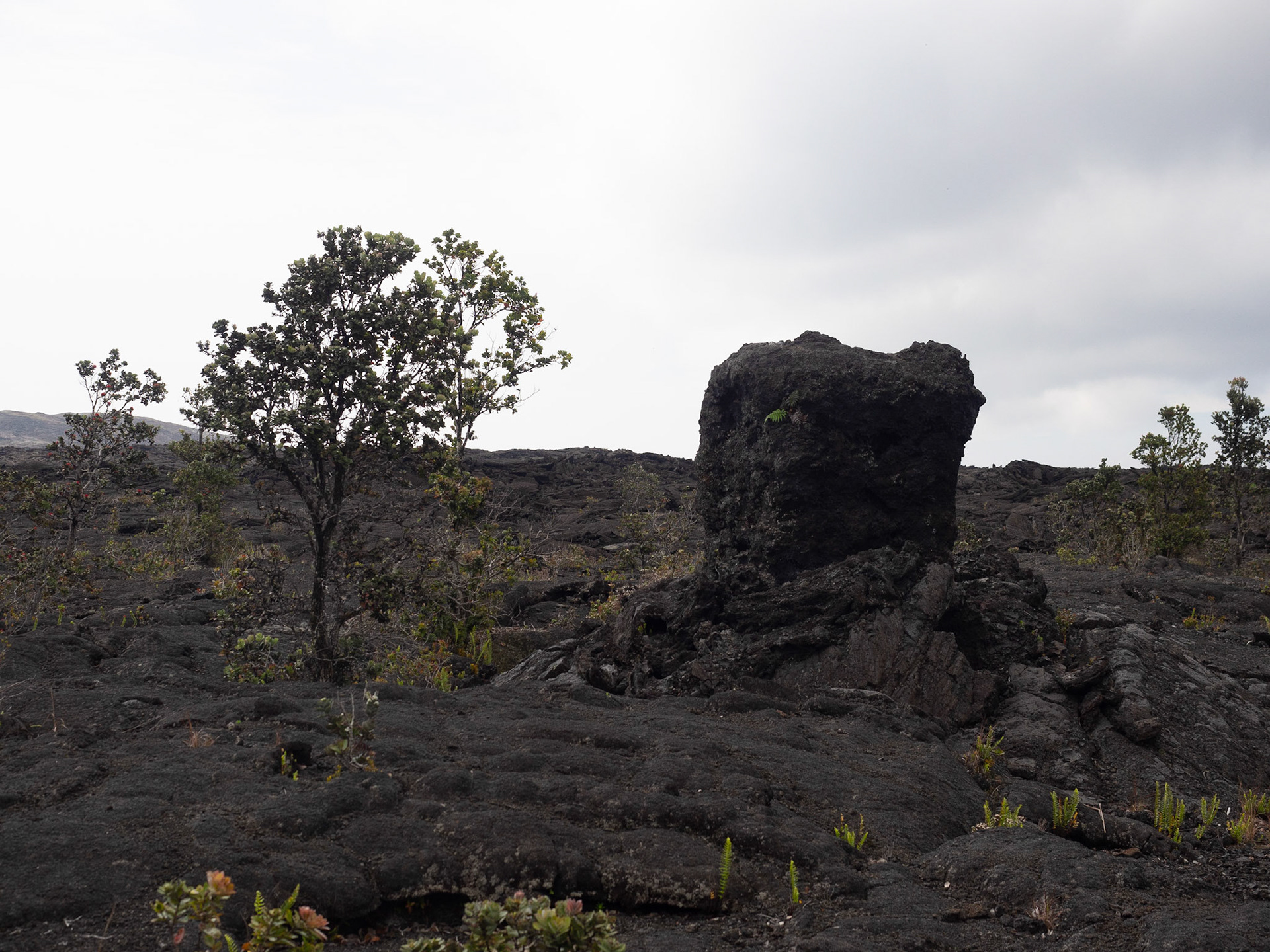 Big Island