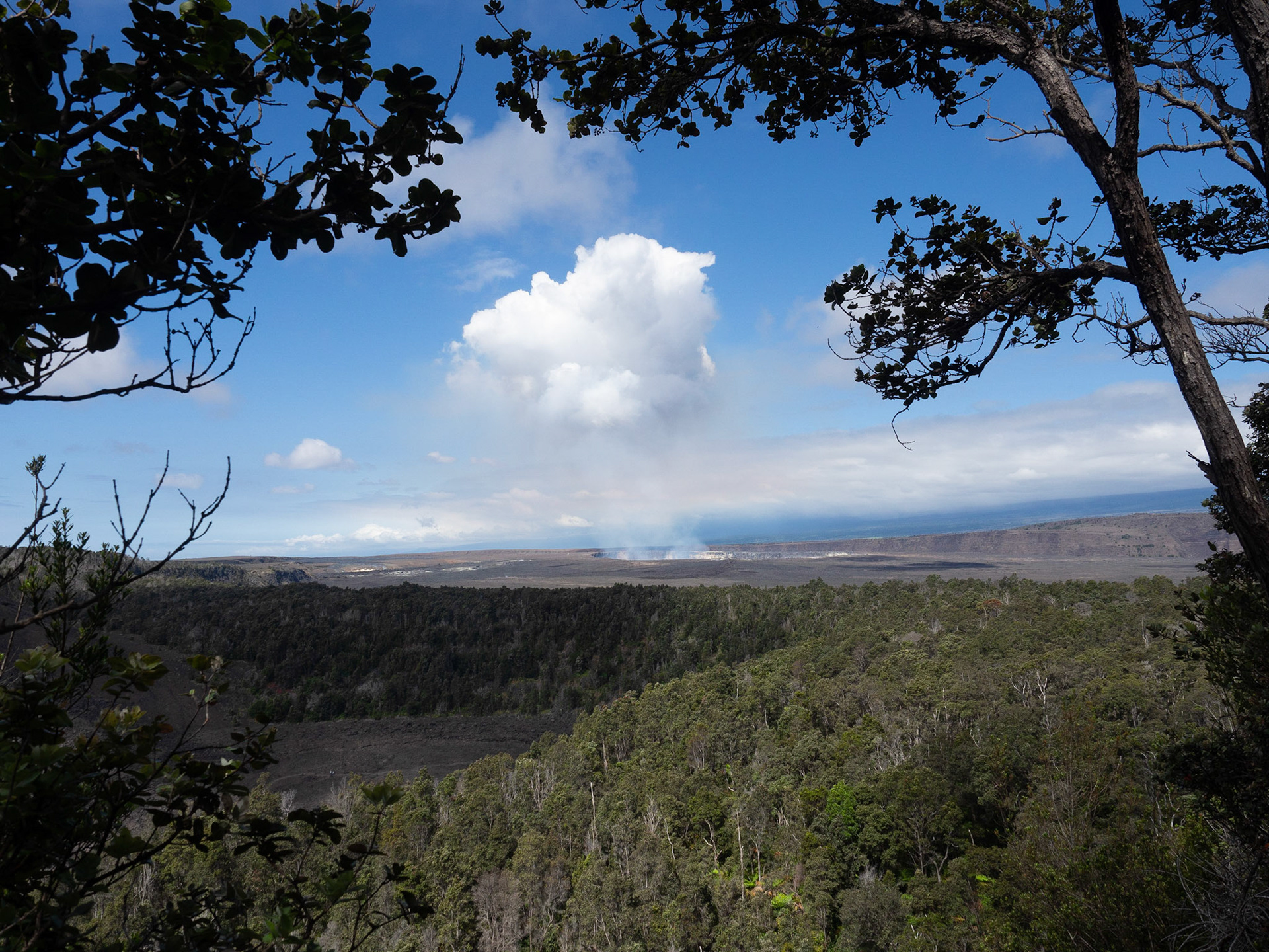 Big Island