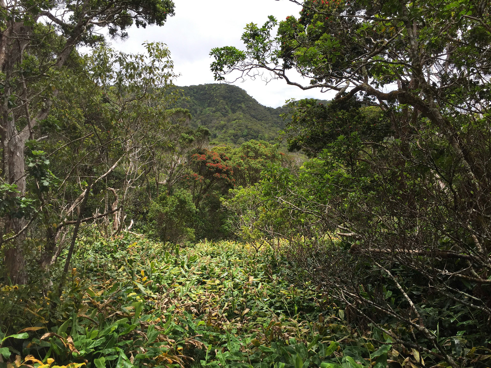 Kauai
