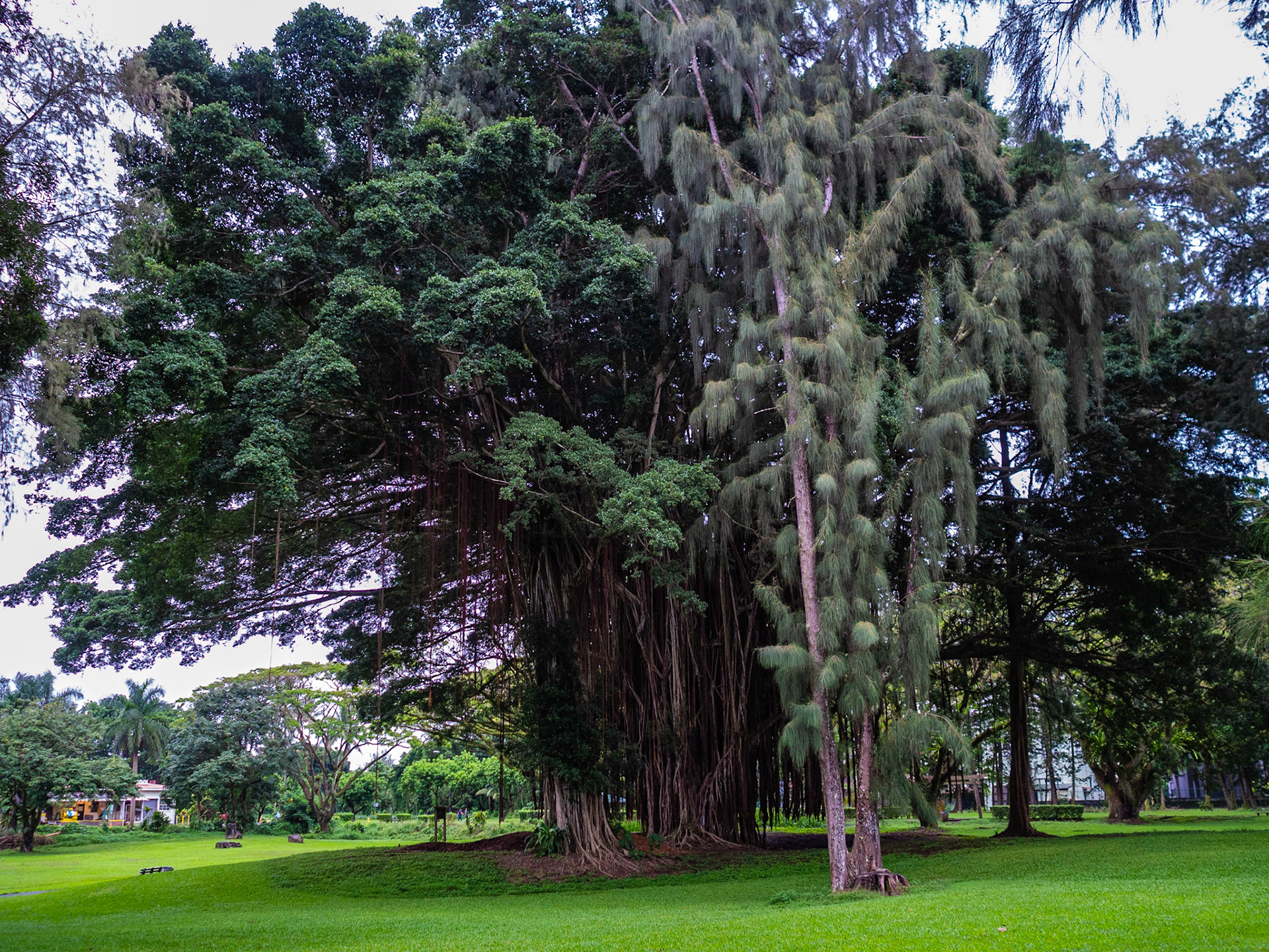 Big Island