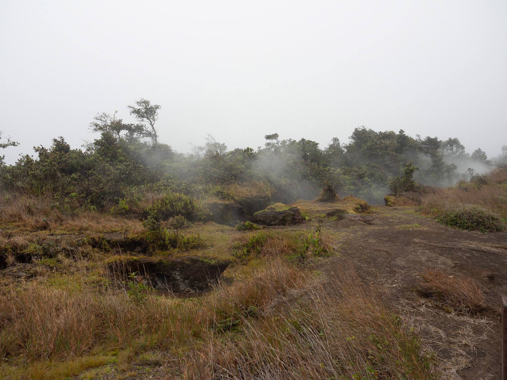 Big Island