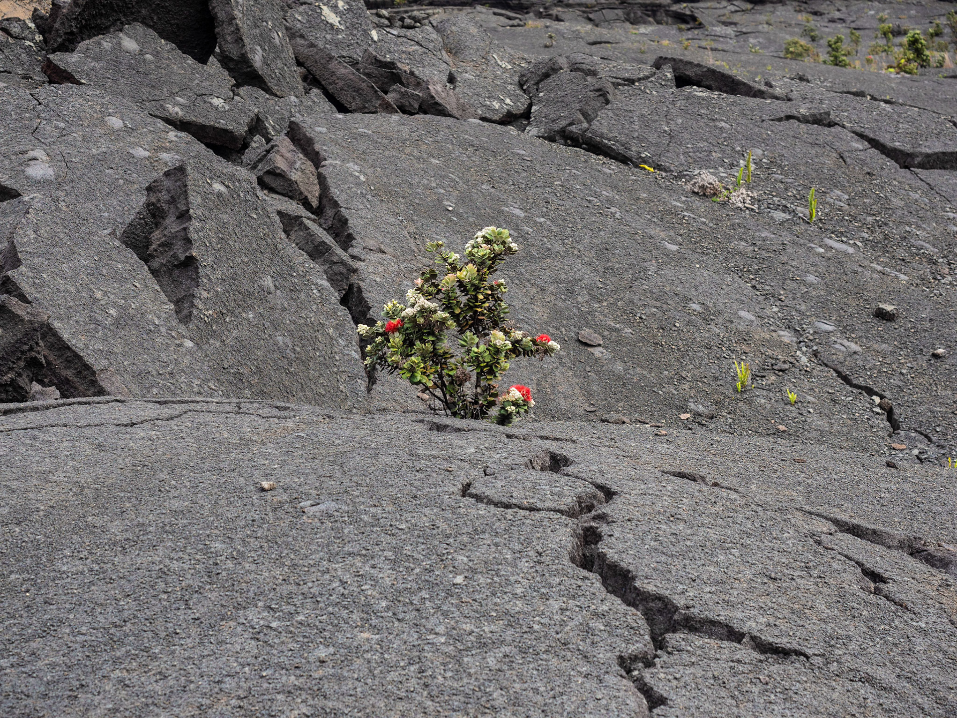 Big Island