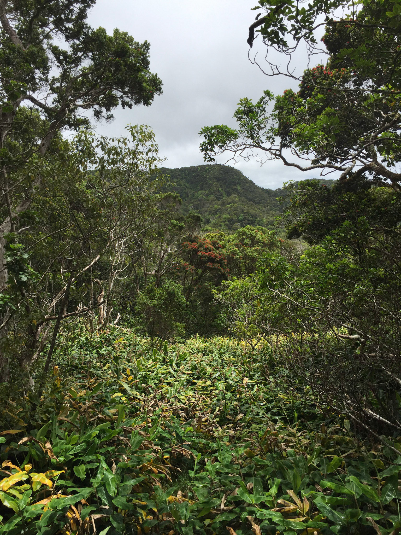 Kauai