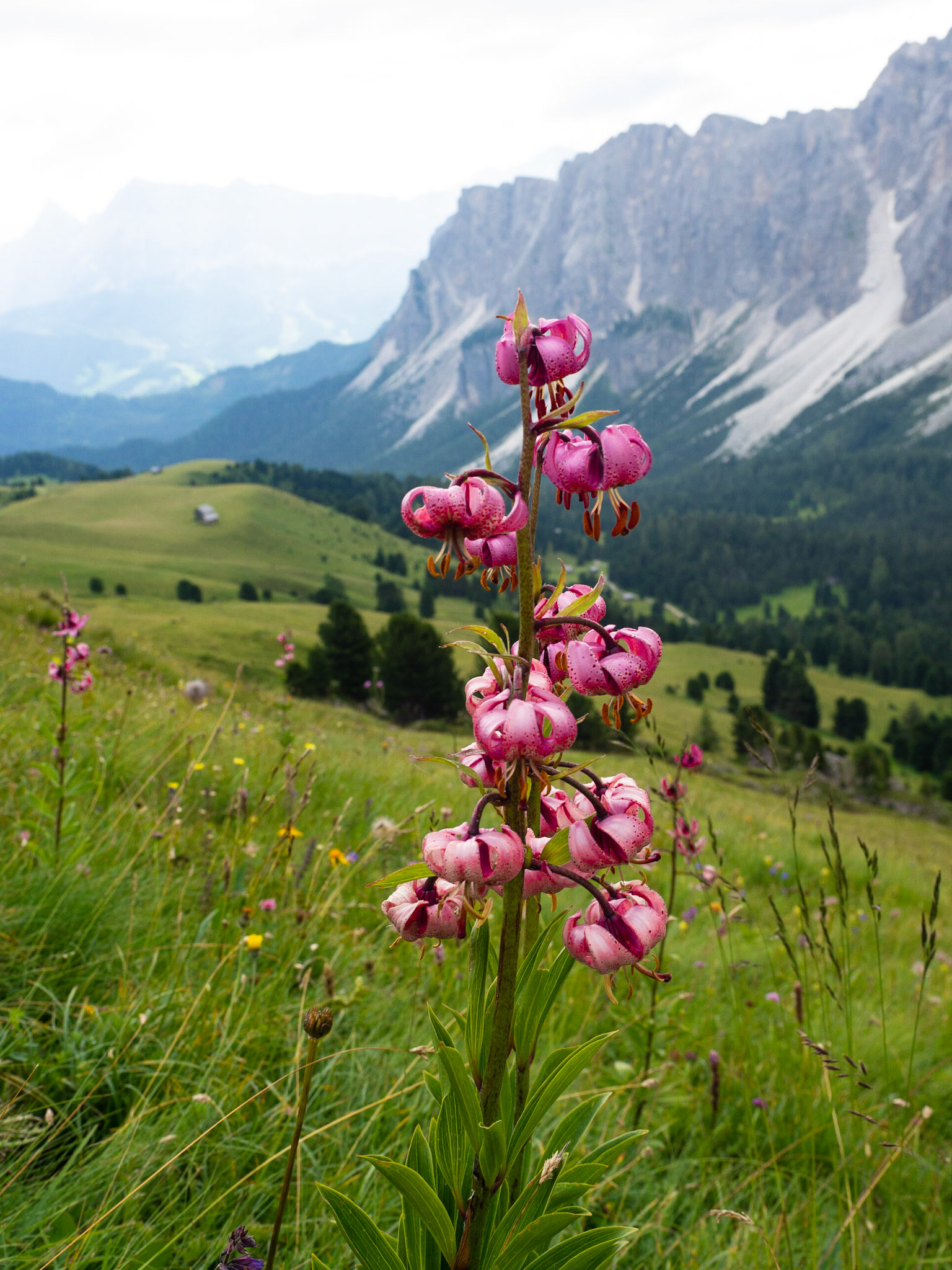 Dolomiten 2018