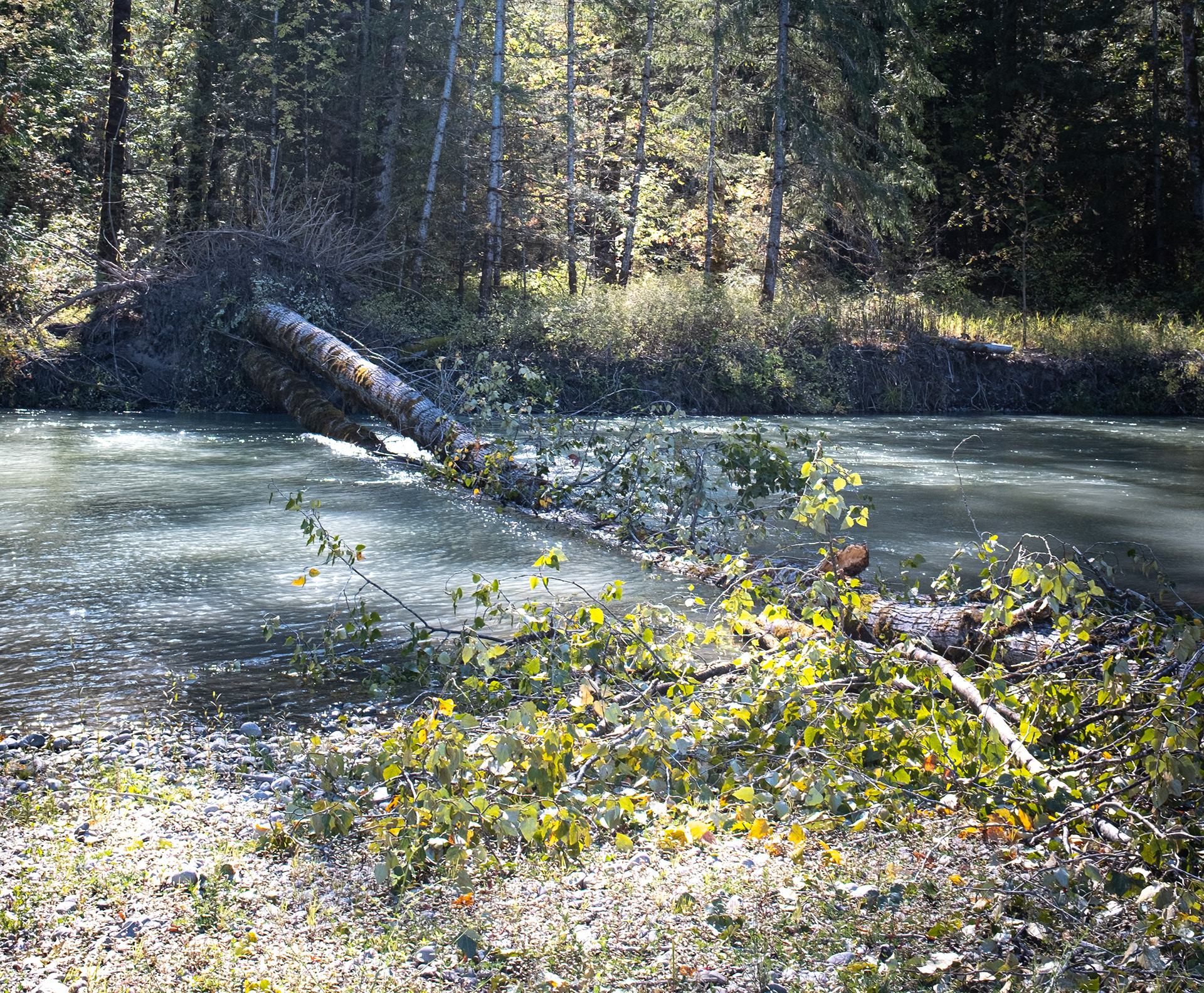 Portage