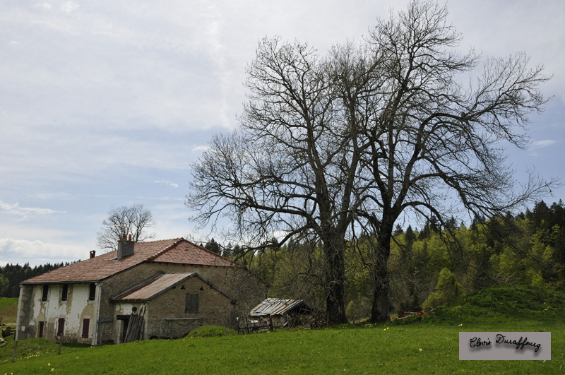 Ferme du Haut-Jura