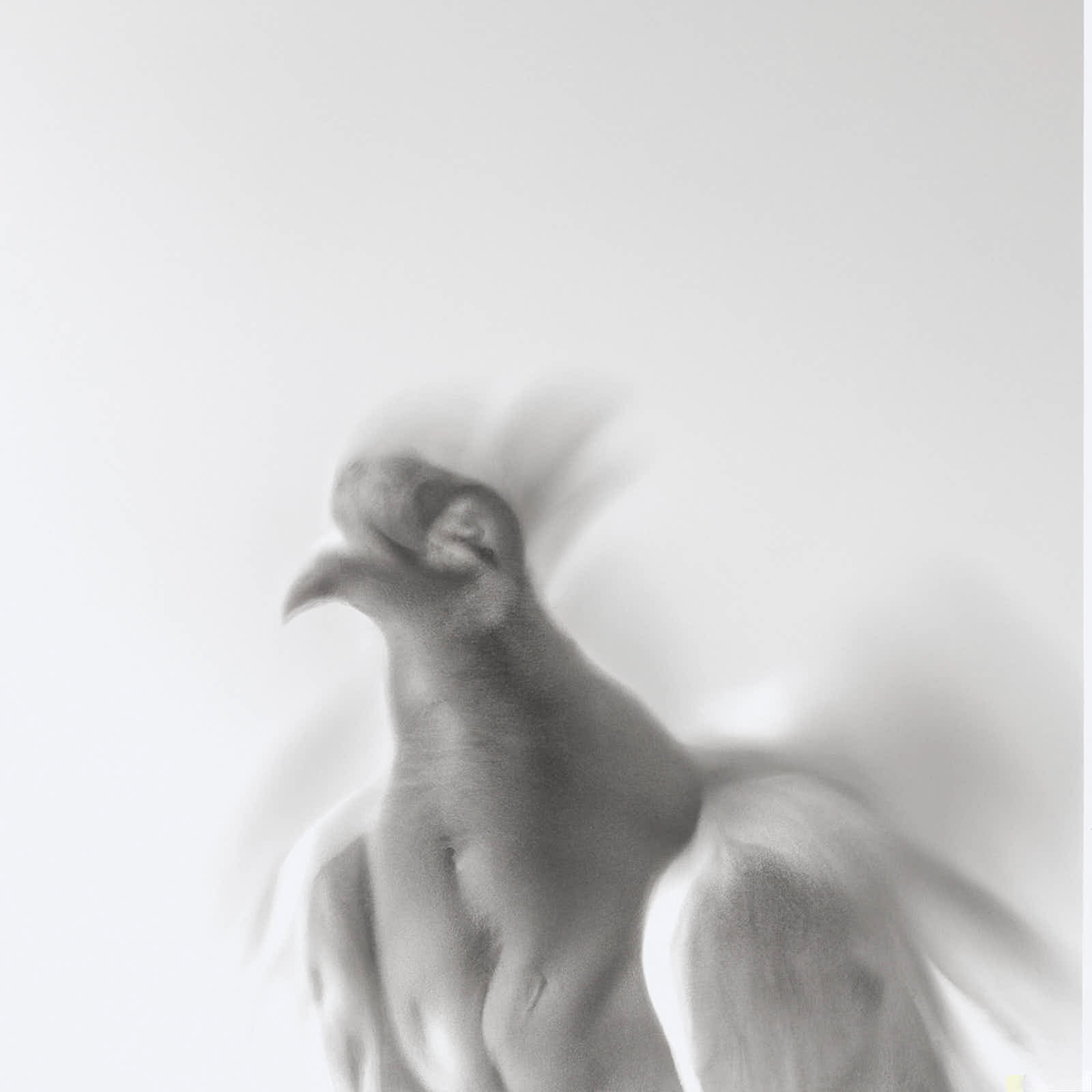 AI, prompt, blackandwhitephotography, portraits, intimate